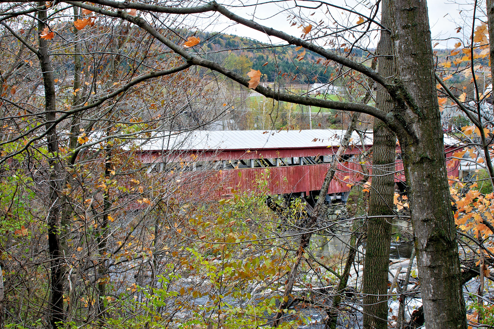 VT_20021028_0021_PS.dng