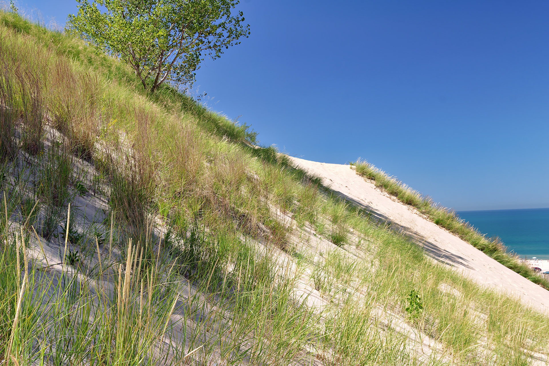 MI_New BuffaloArea_20030906_0097_PS.tif