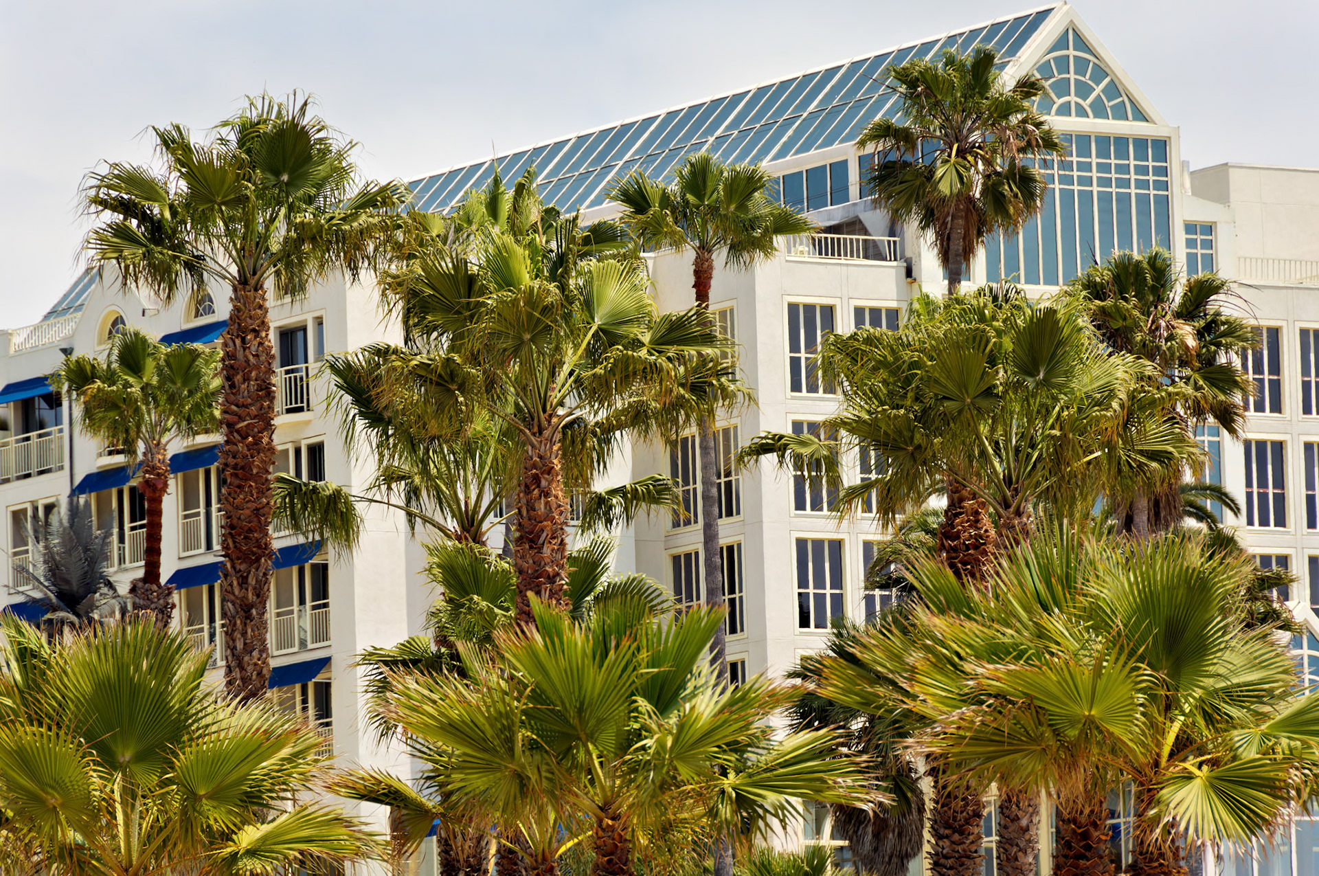 CA_LA_20060504_0309_PS.dng