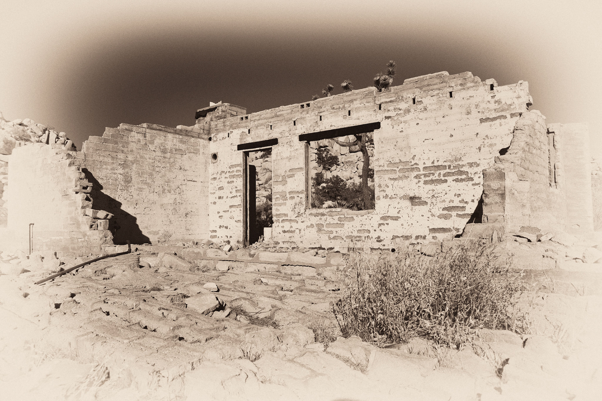 Black &amp; White 00109