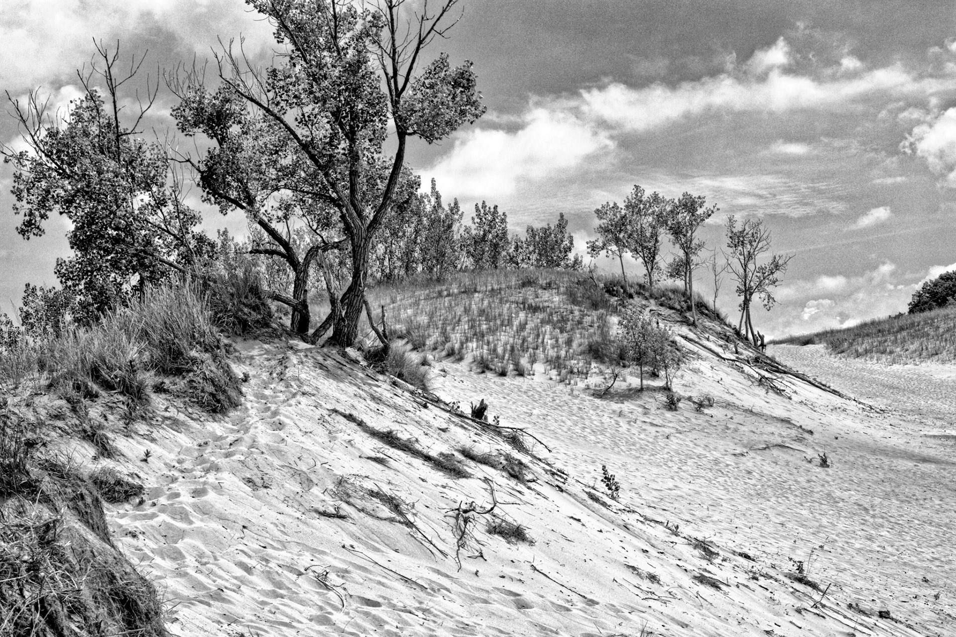 Black &amp; White 00207