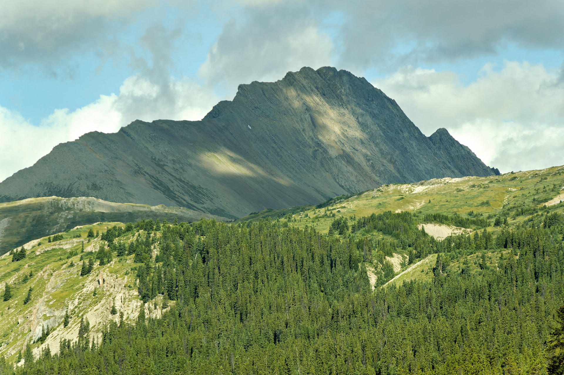 CN_20060802_0137_PS.dng