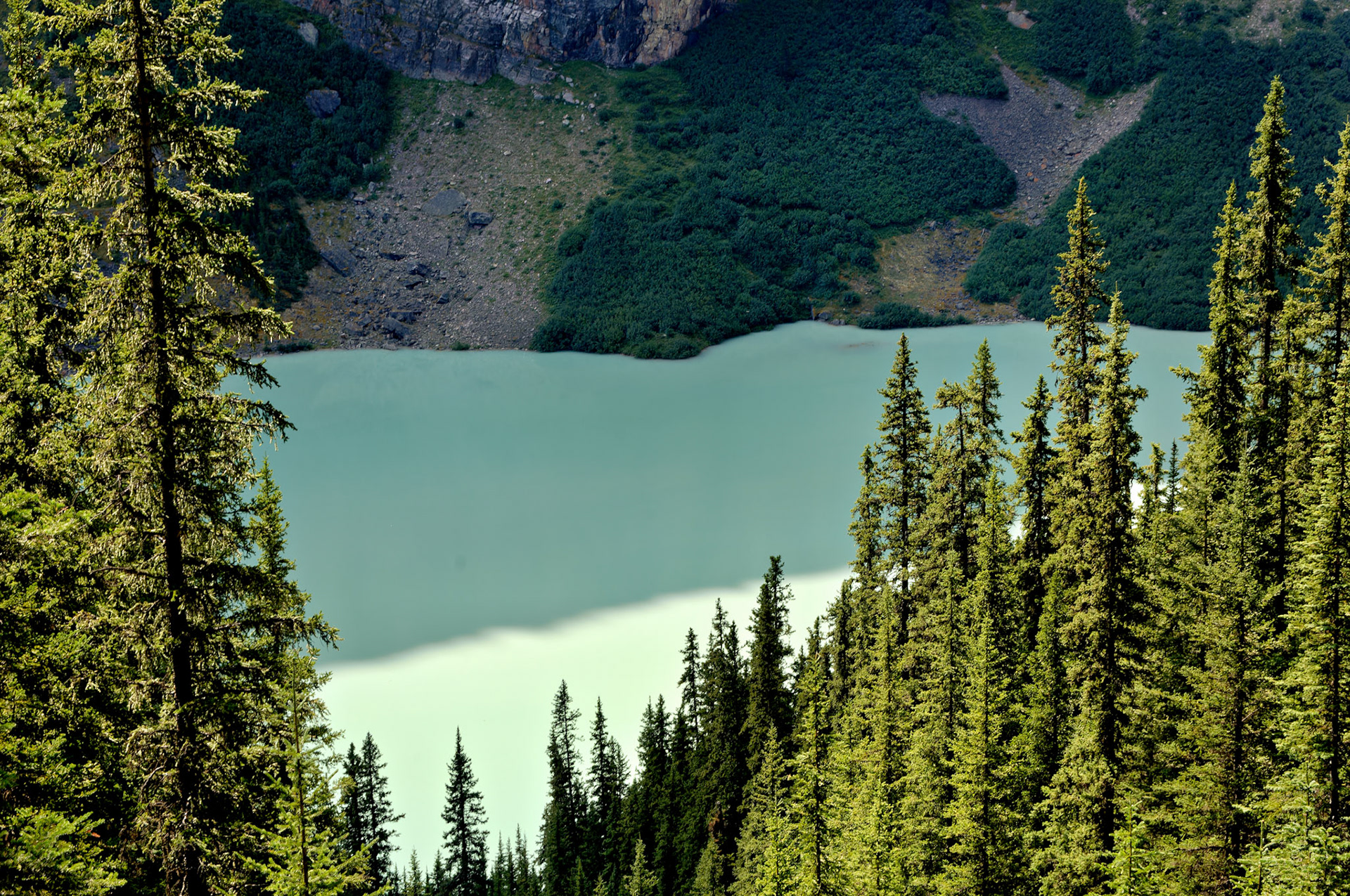CN_20060801_0048_PS.dng