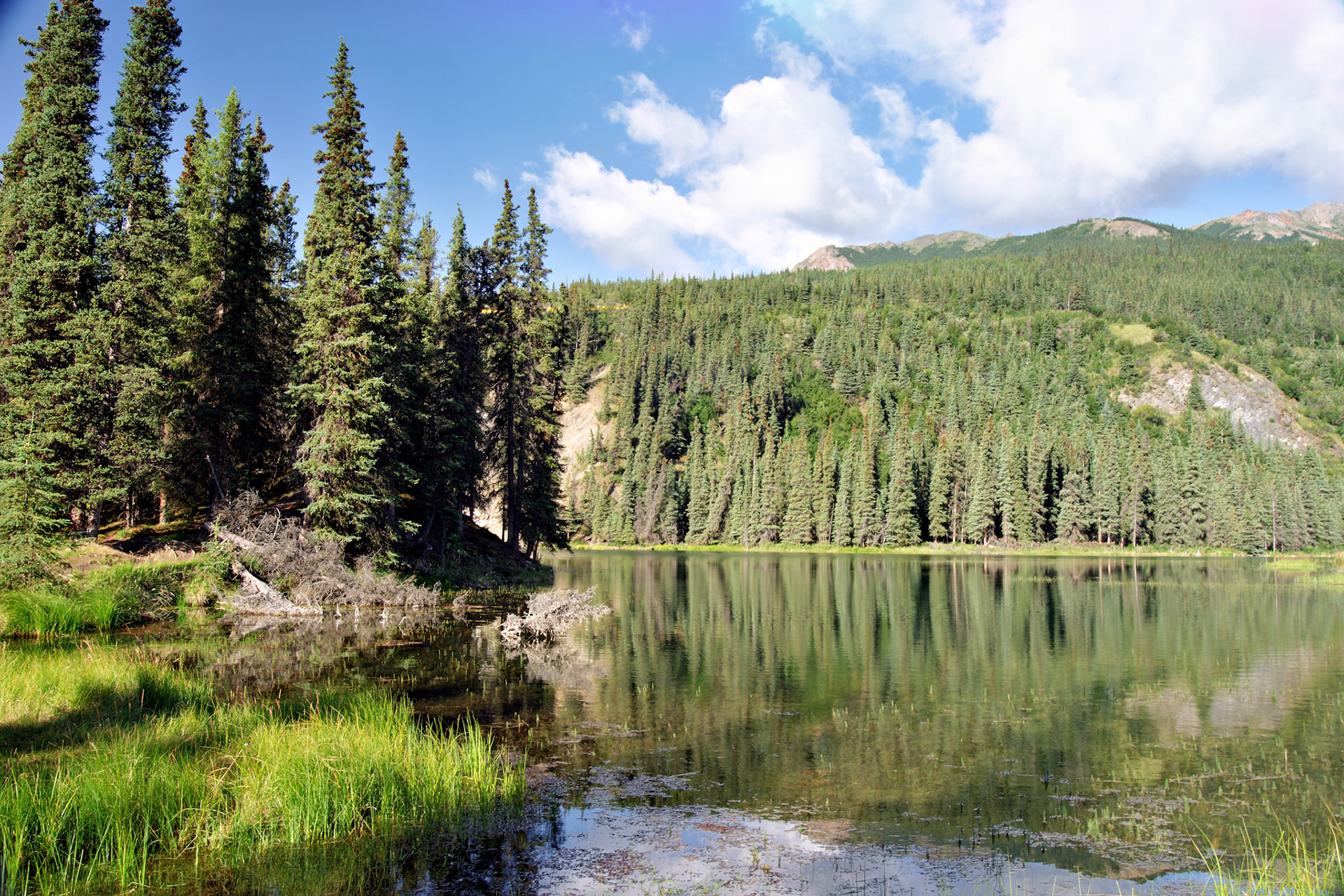 AK_20030808_0901_PS.dng