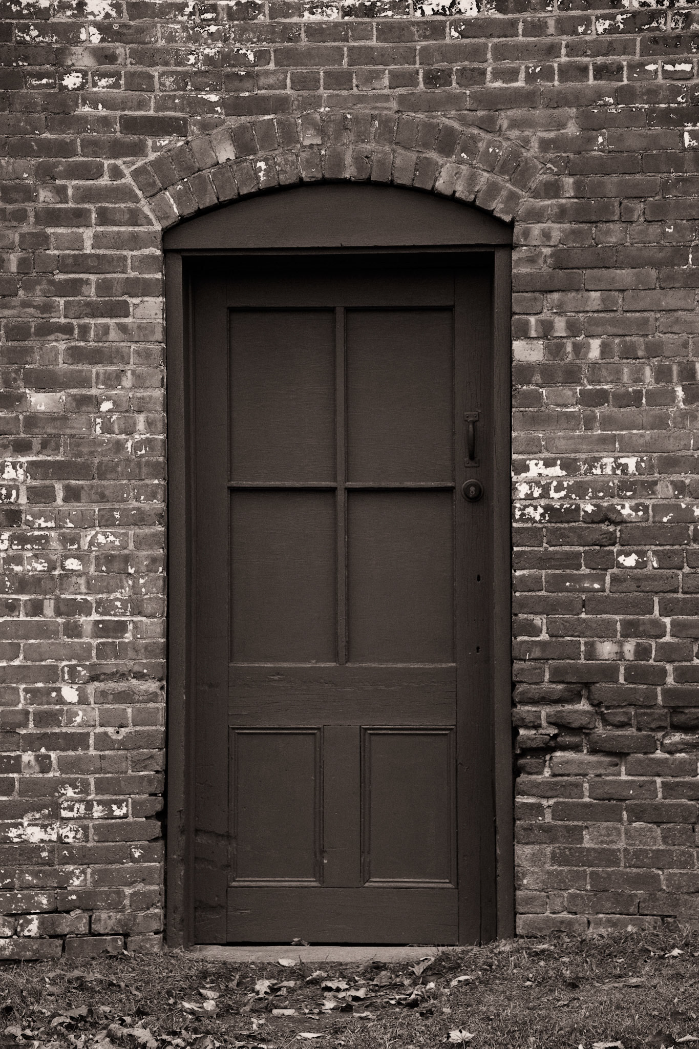 Black &amp; White Photos