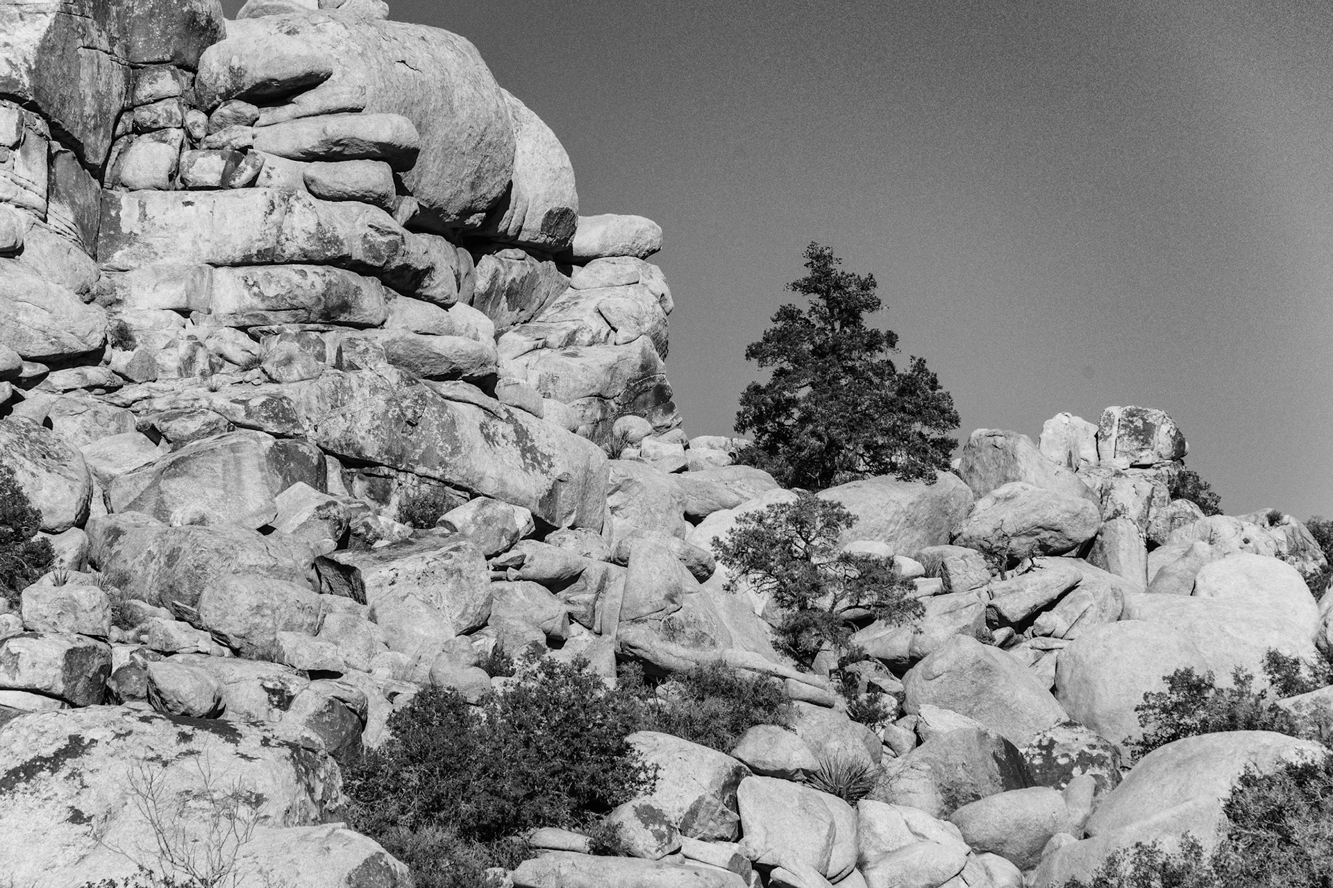 Black &amp; White 00096