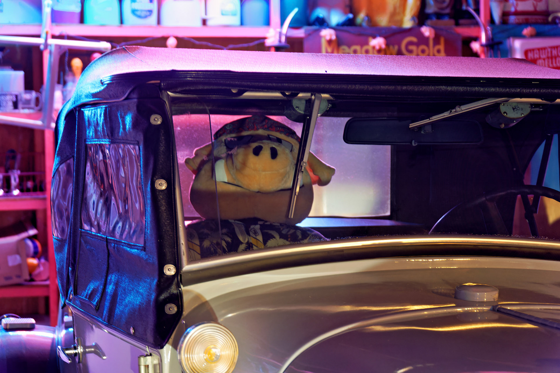 MI_New BuffaloArea_20160808_0172_PS.tif