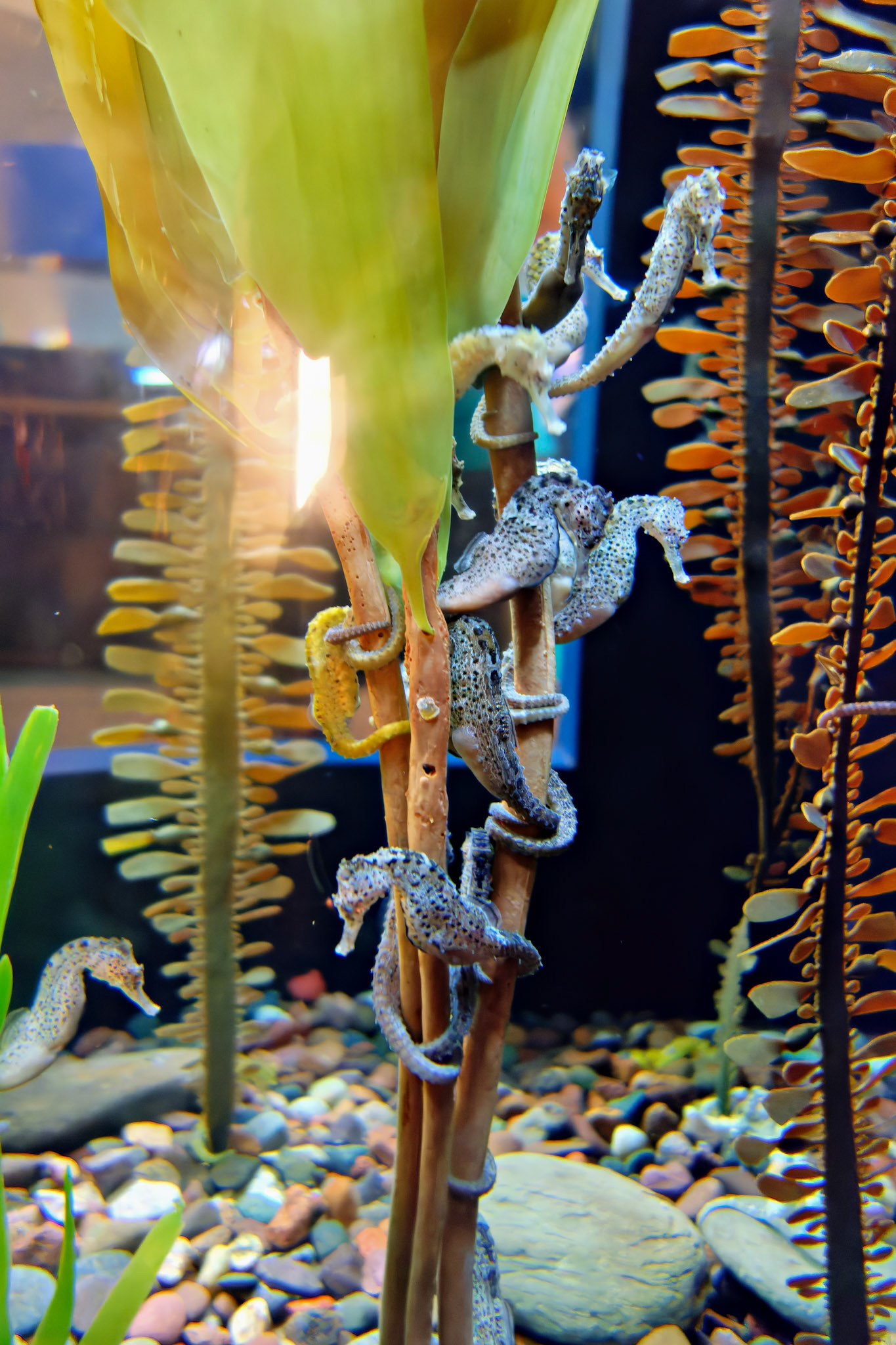 Wildlife_20120725_0288_PS.dng