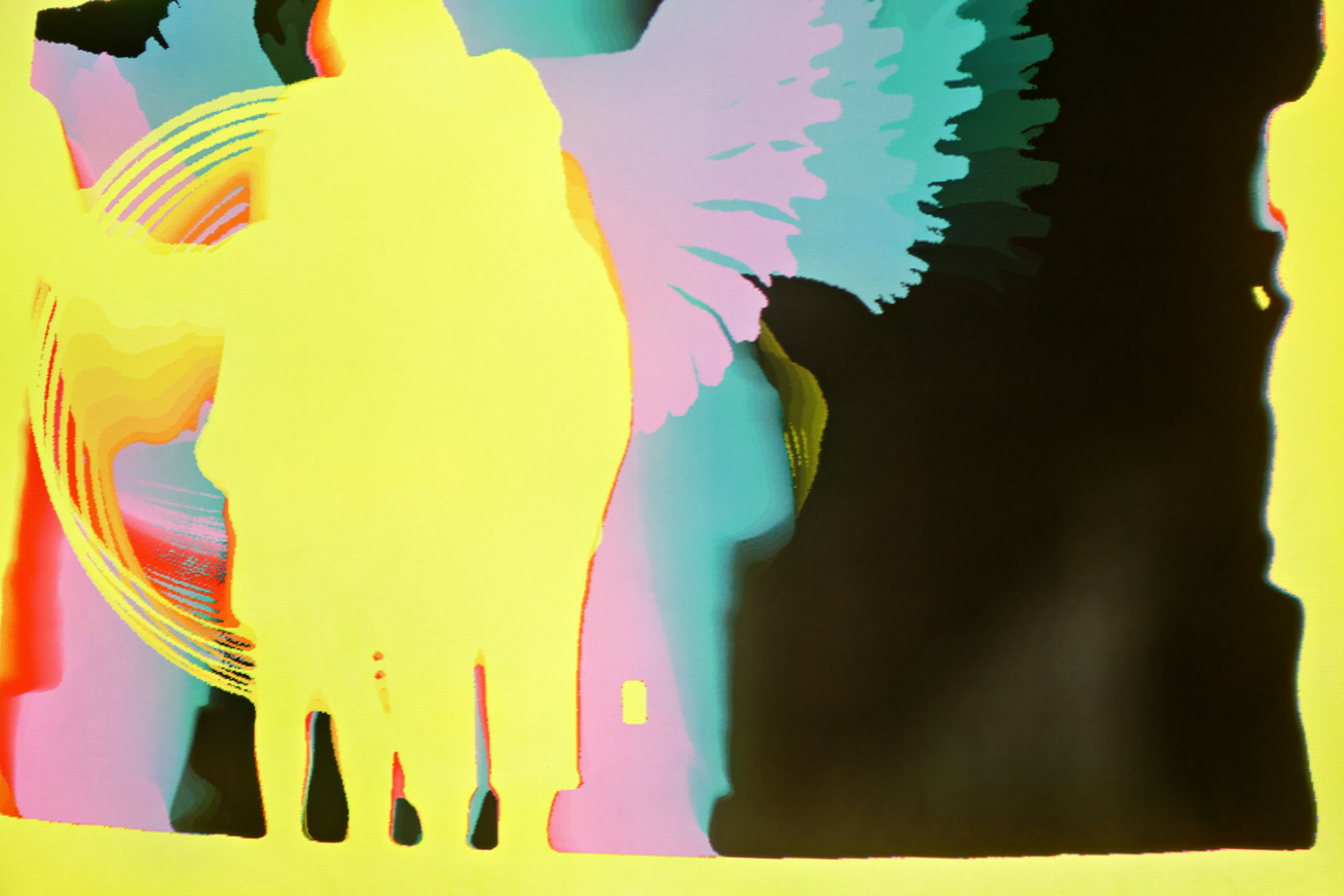 Artistic_20170714_0113_PS.dng