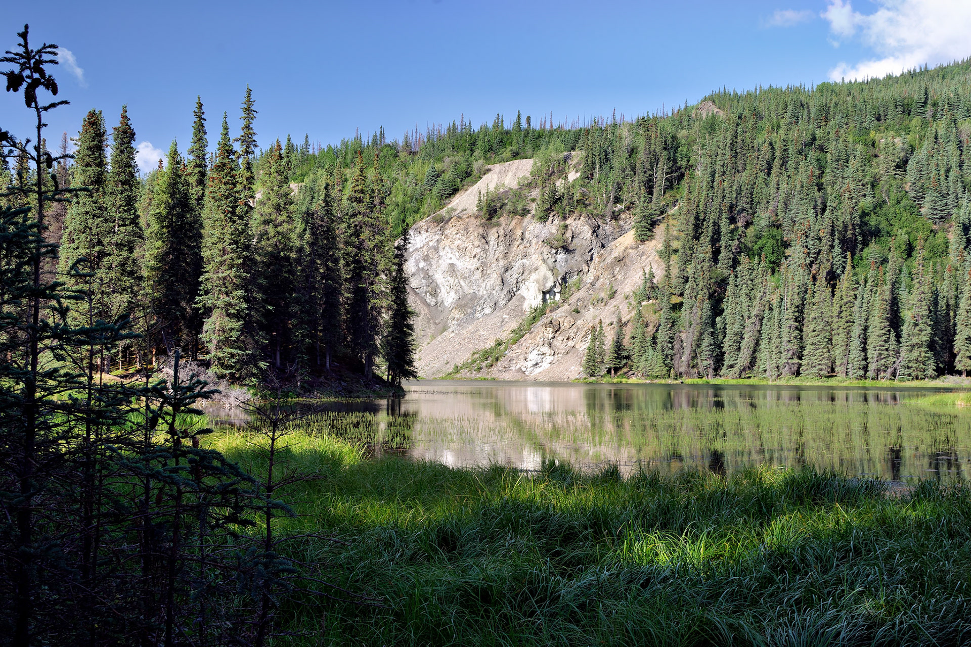 AK_20030808_0897_PS.dng