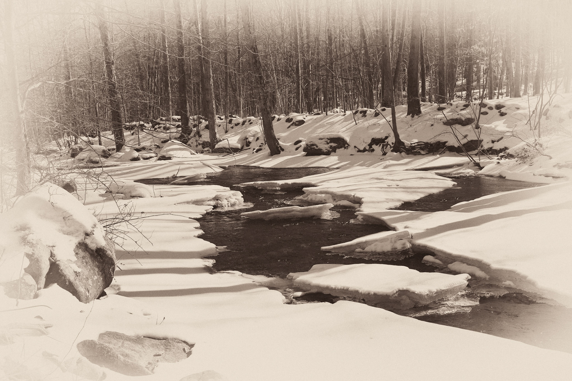 Black &amp; White 00112