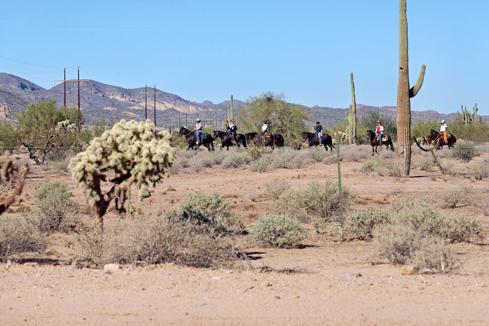 AZ_20121209_0300_PS.dng