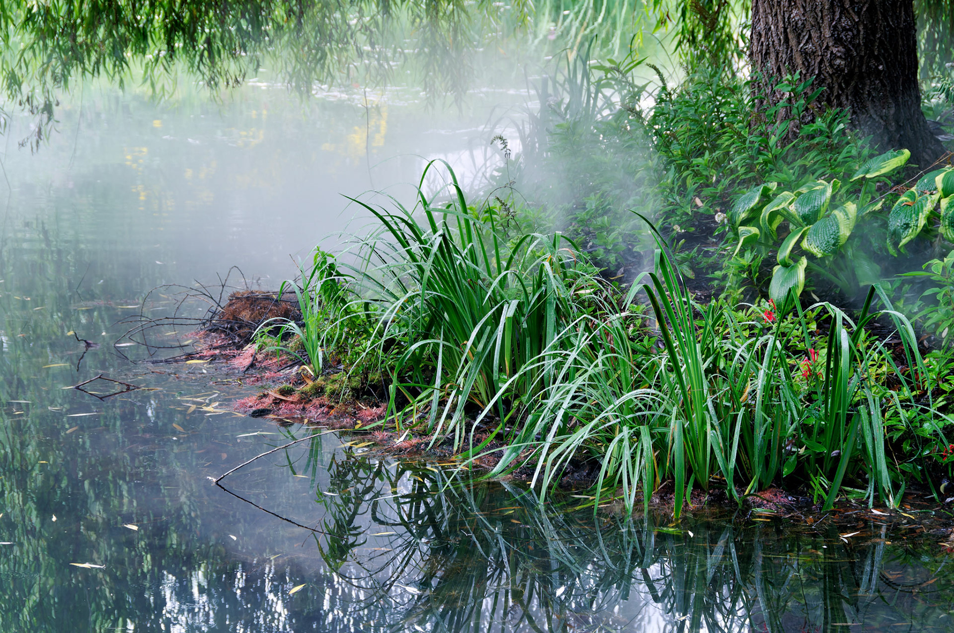 PA_GroundsForSculpture_20080814_0079_PS.dng