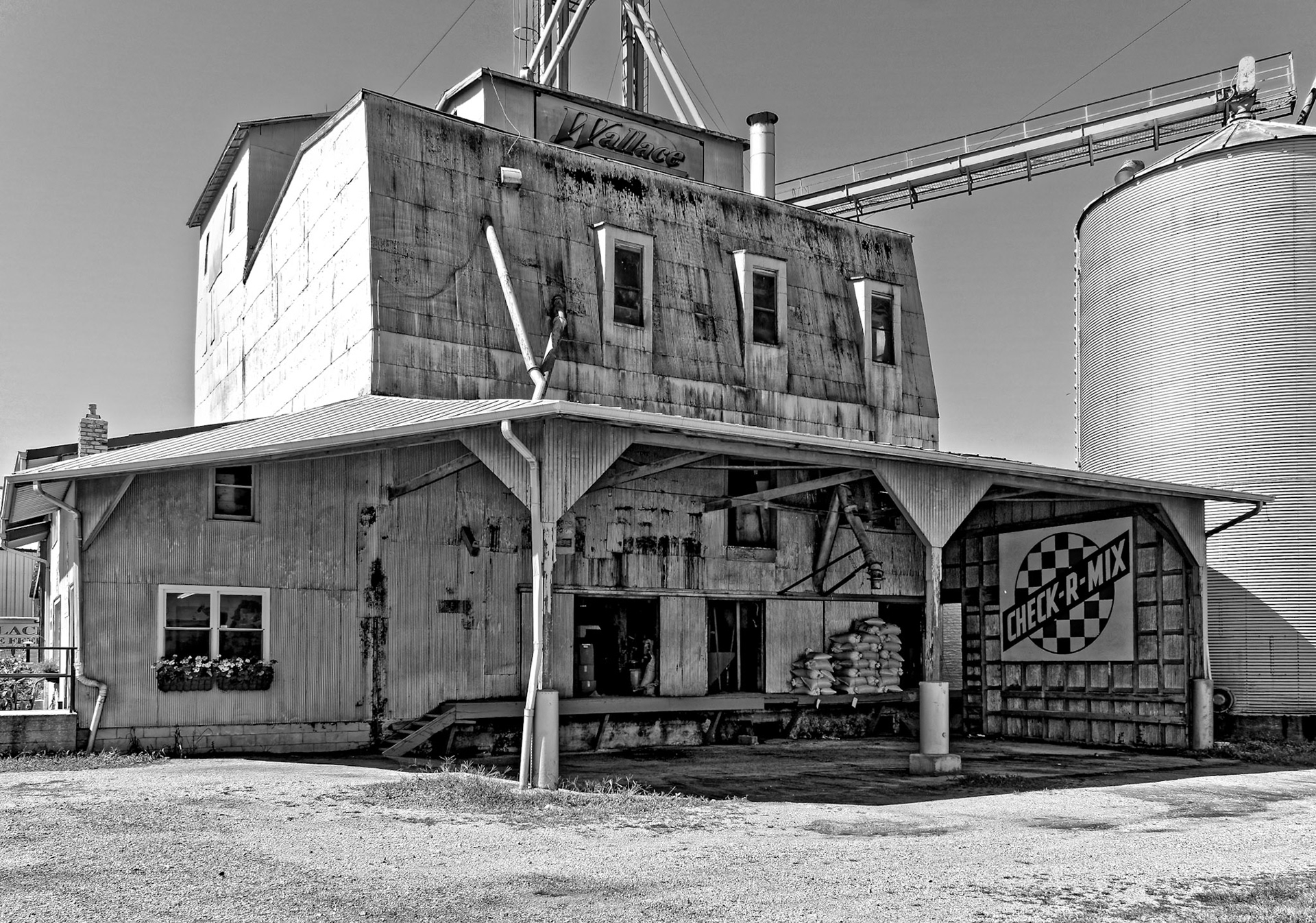 Black &amp; White 00231