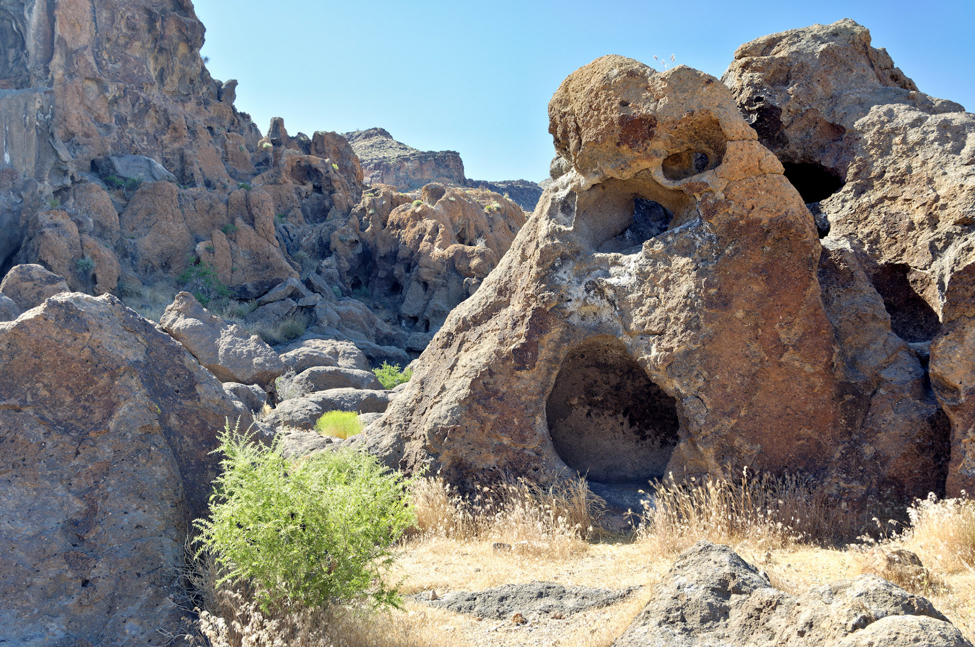 CA_20050614_0167_PS.dng