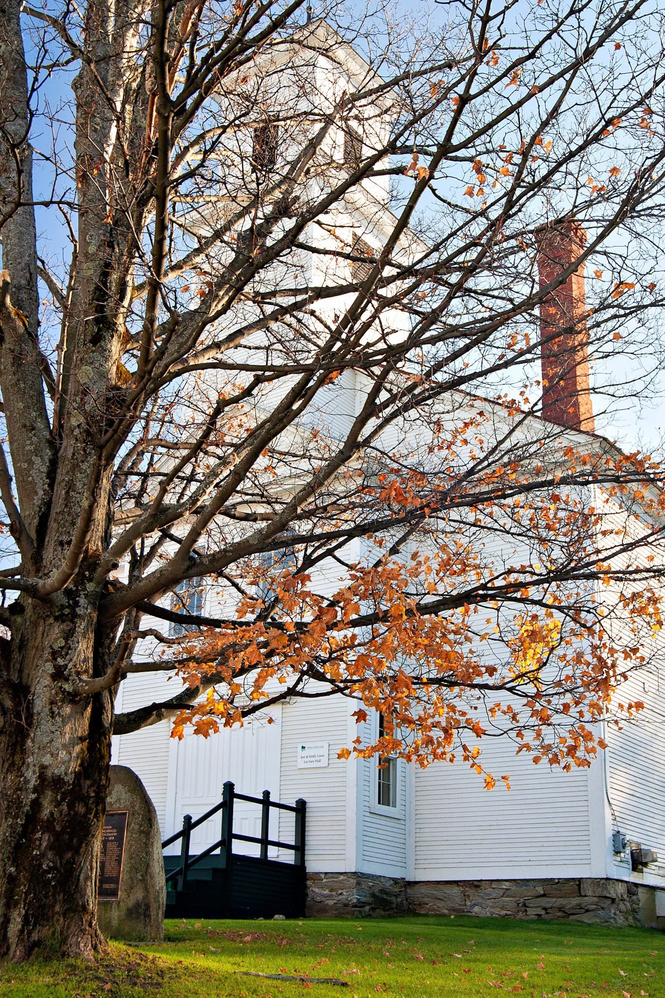 VA_20021030_0013_PS.dng