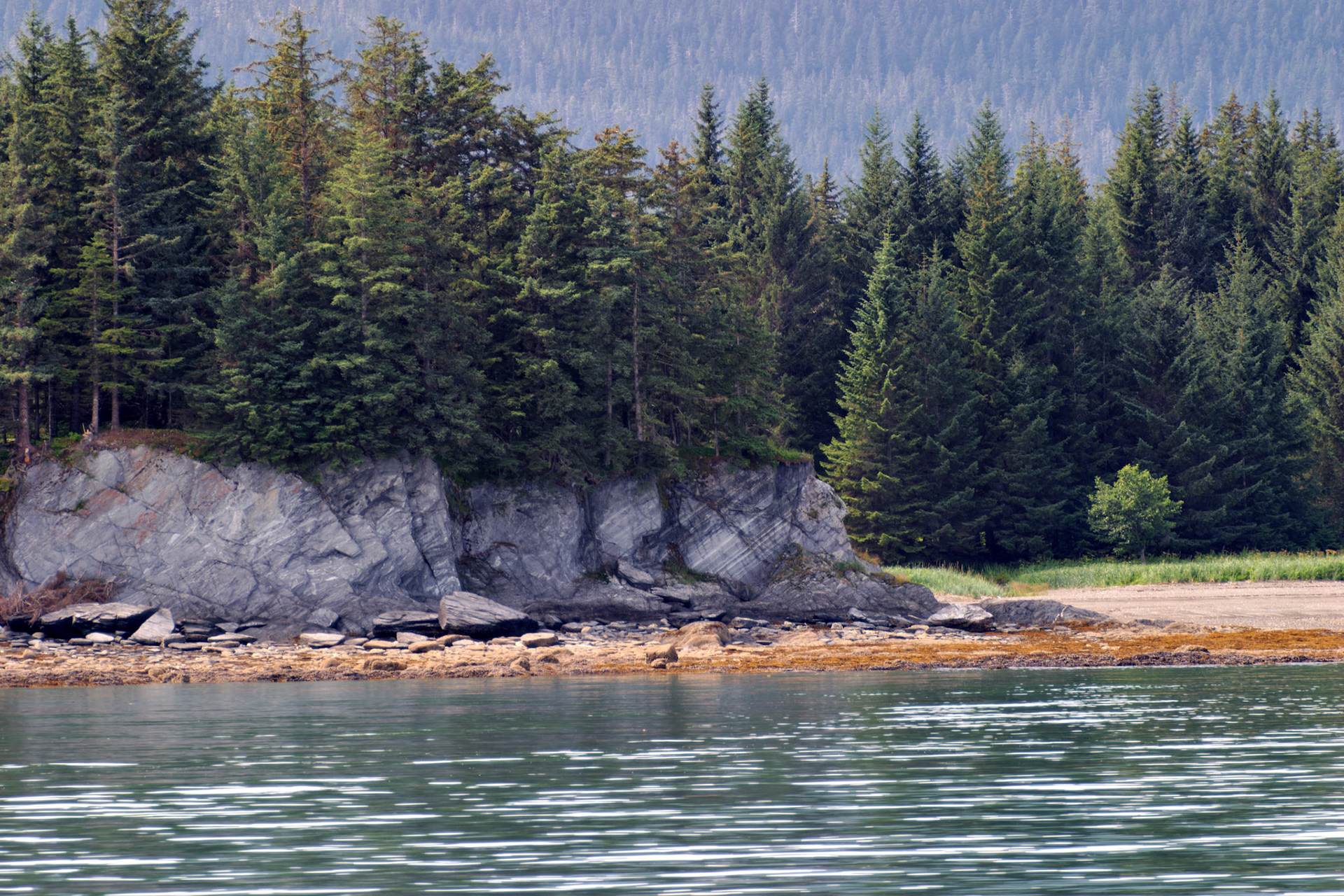 AK_20030731_0207_PS.dng