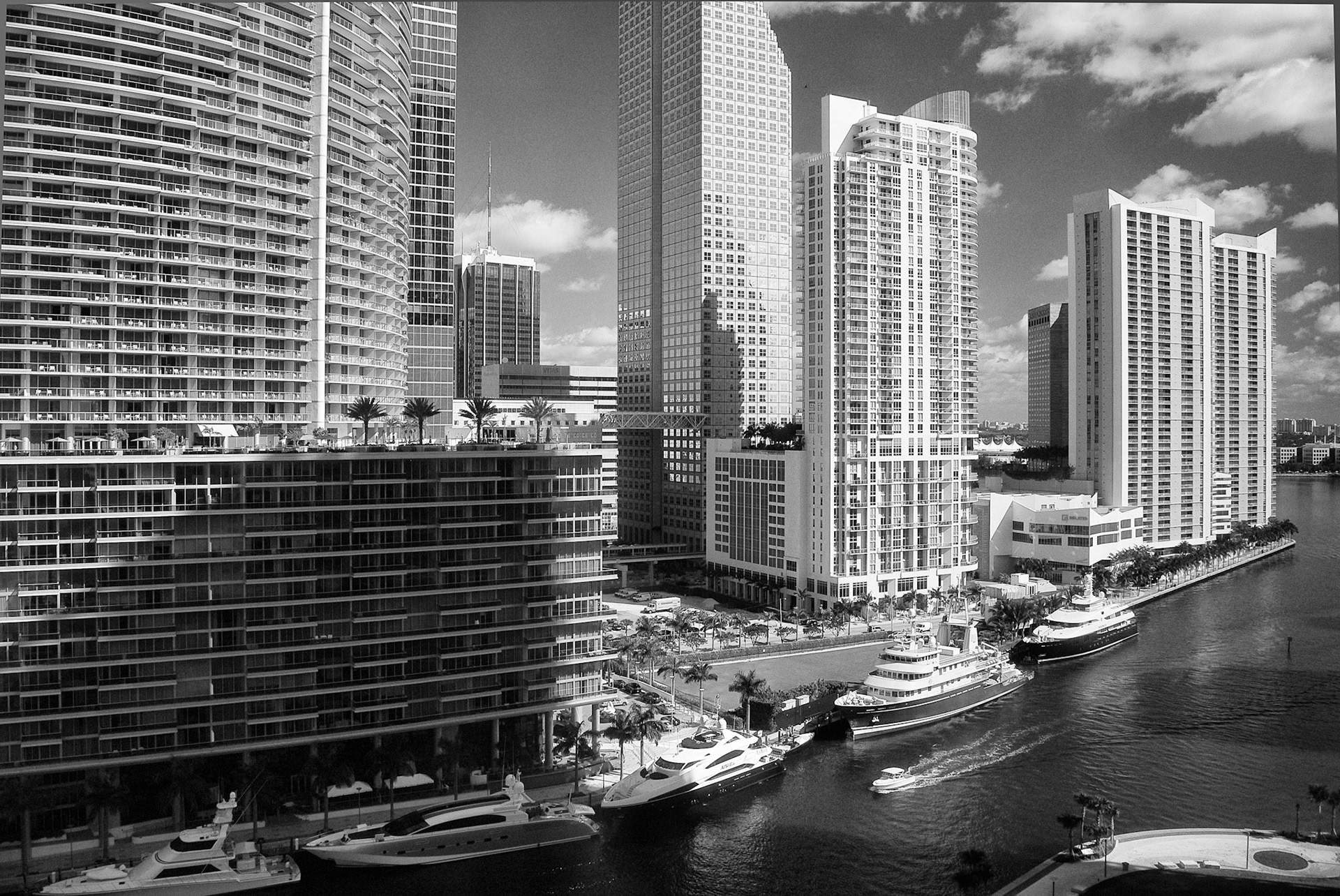 Black &amp; White 00140