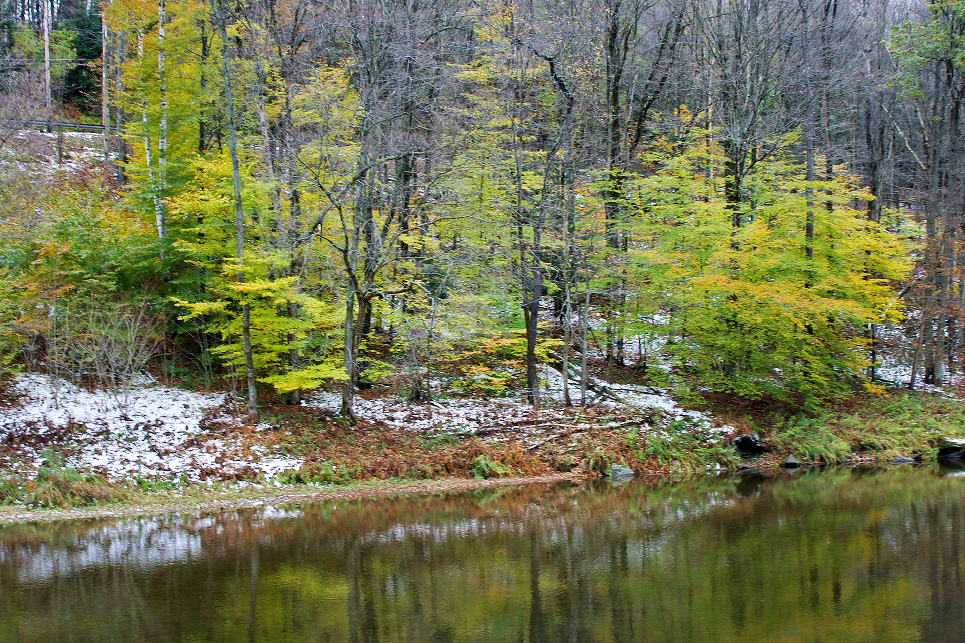 CT_20021028_0002_PS.dng