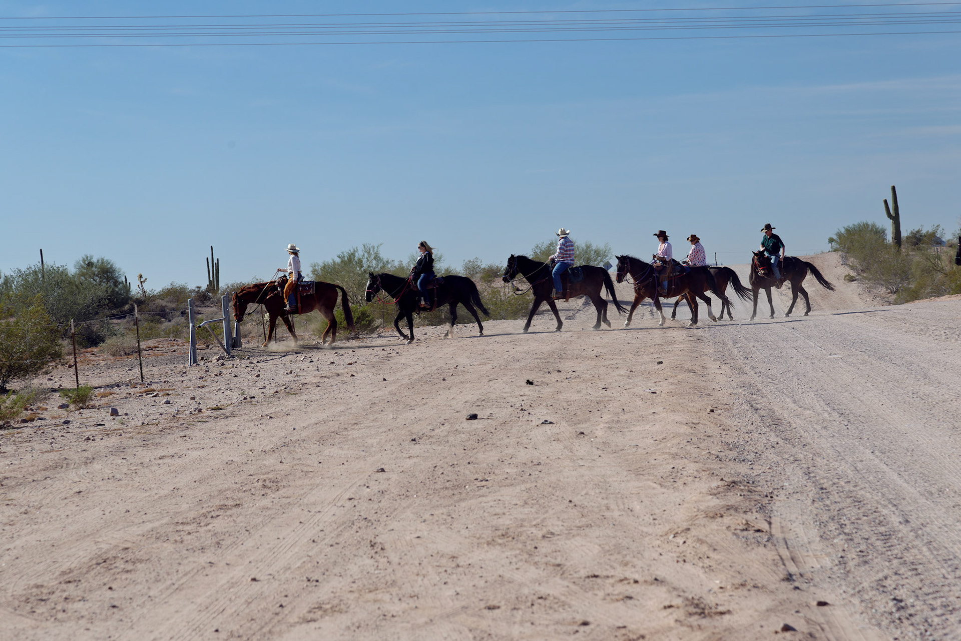 AZ_20121209_0308_PS.dng