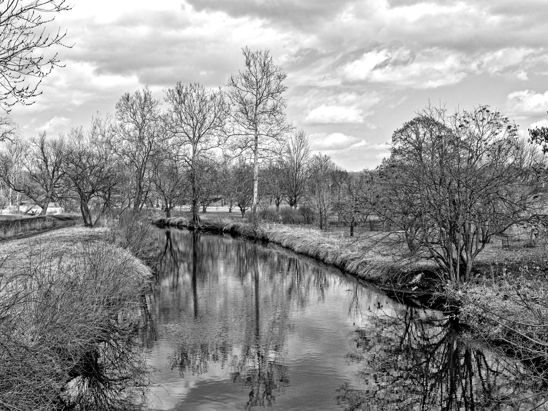 Black &amp; White 00041