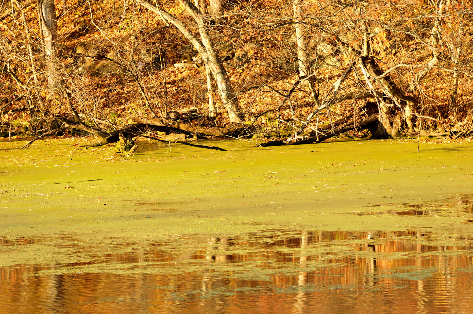 CT_20061021_0253_PS.dng