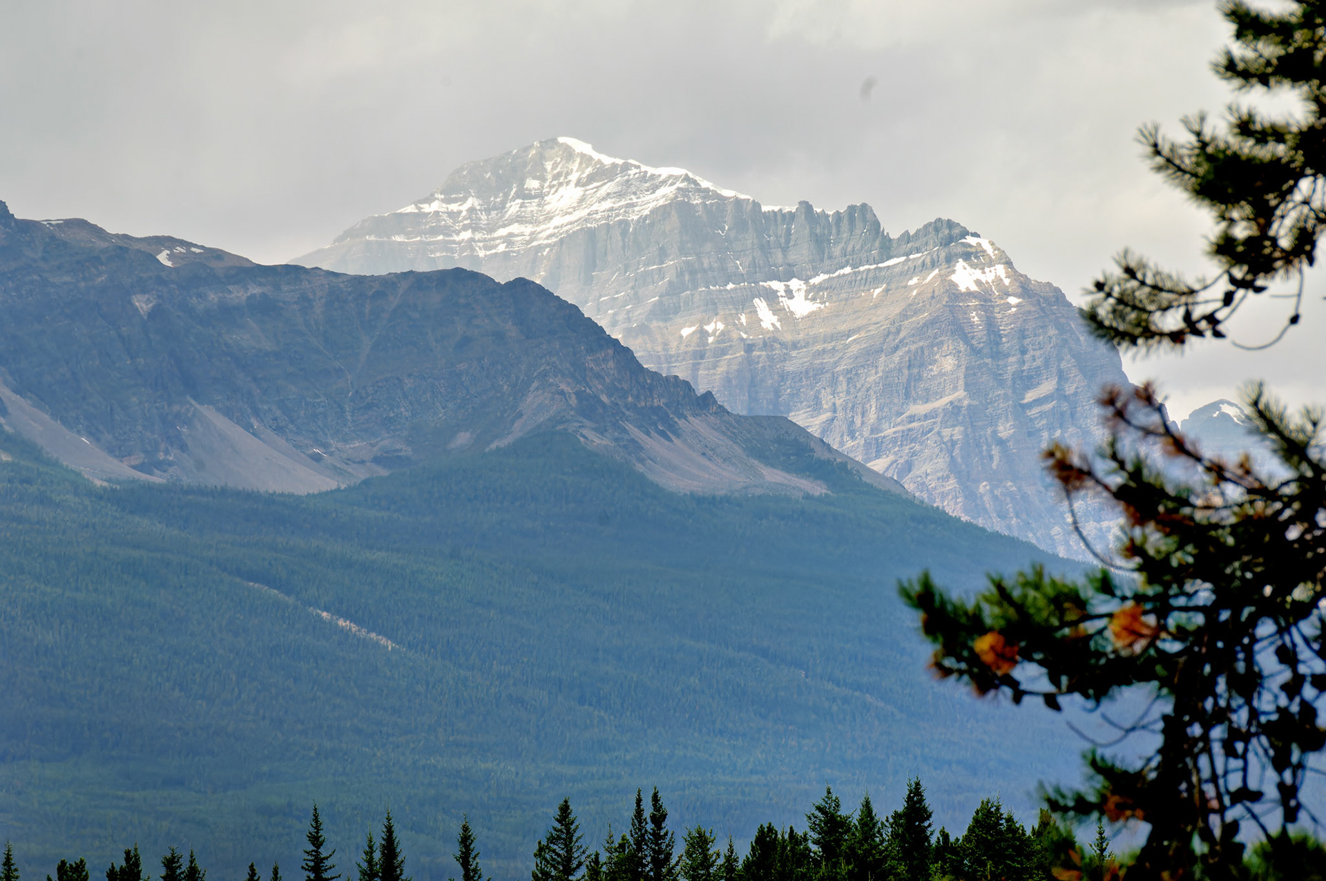 CN_20060803_0353_PS.dng