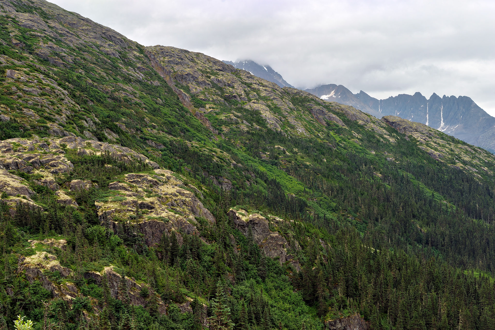 AK_20030801_0263_PS.dng