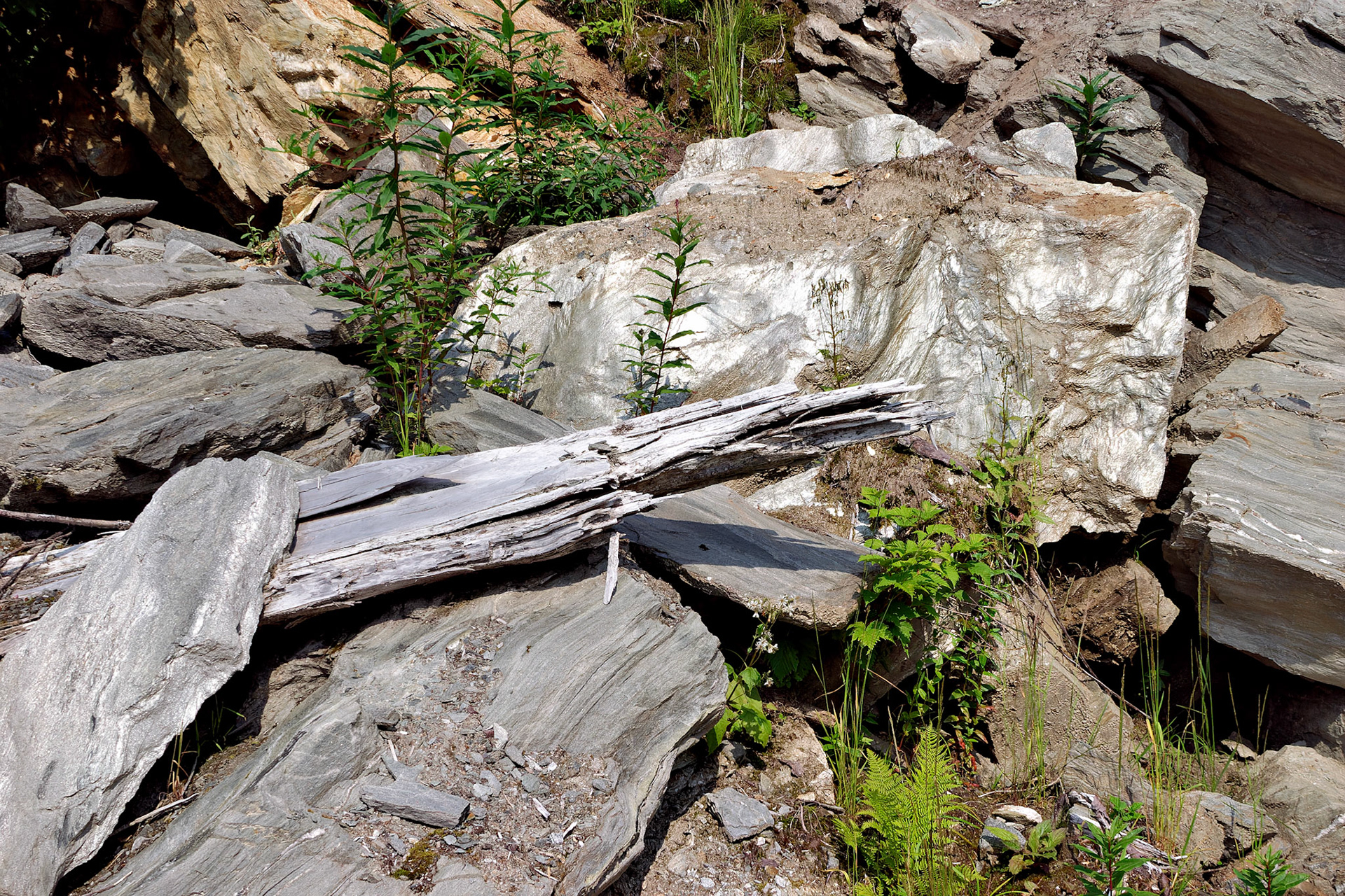 AK_20030730_0107_PS.dng