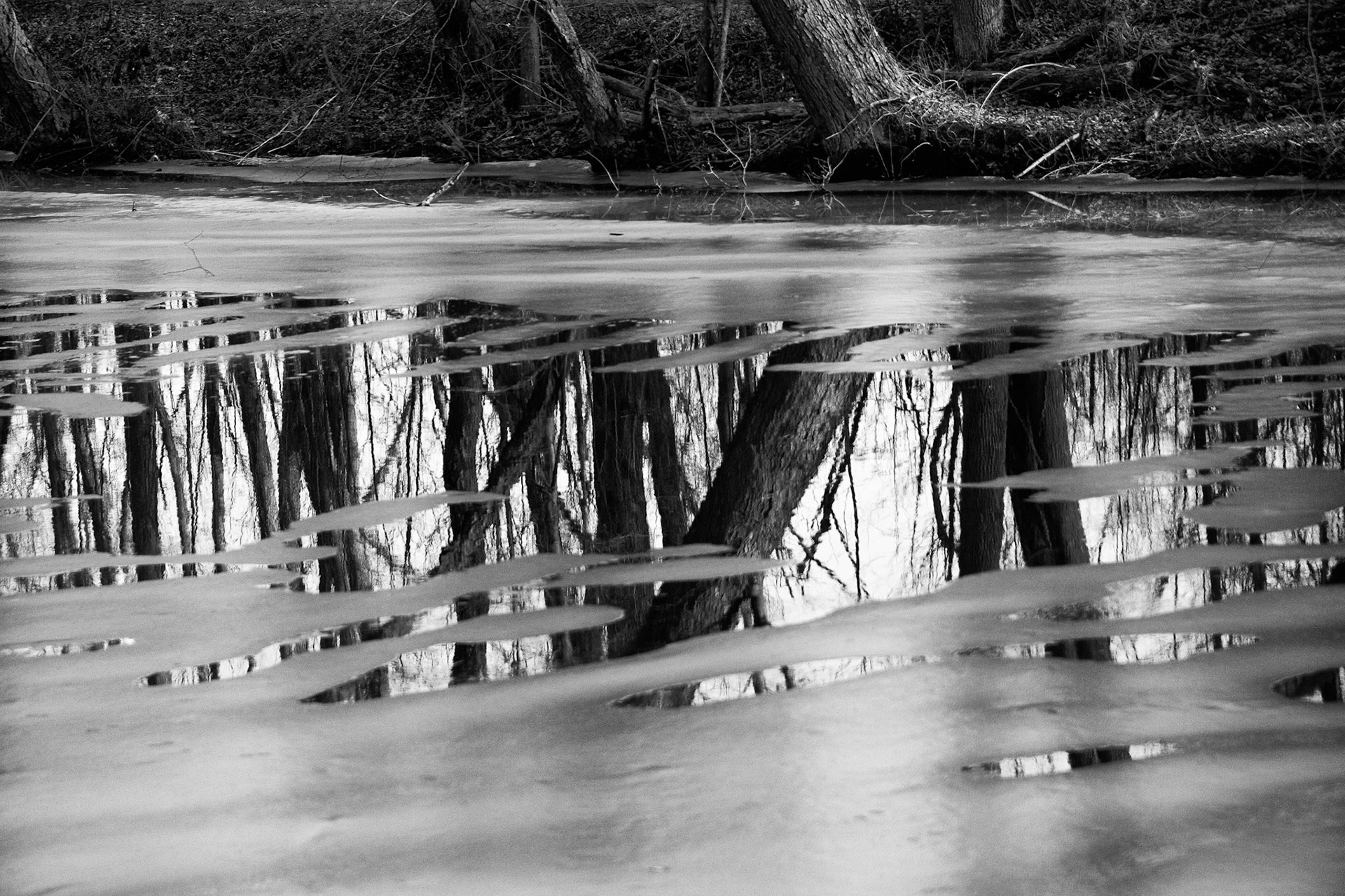 Black &amp; White Photos