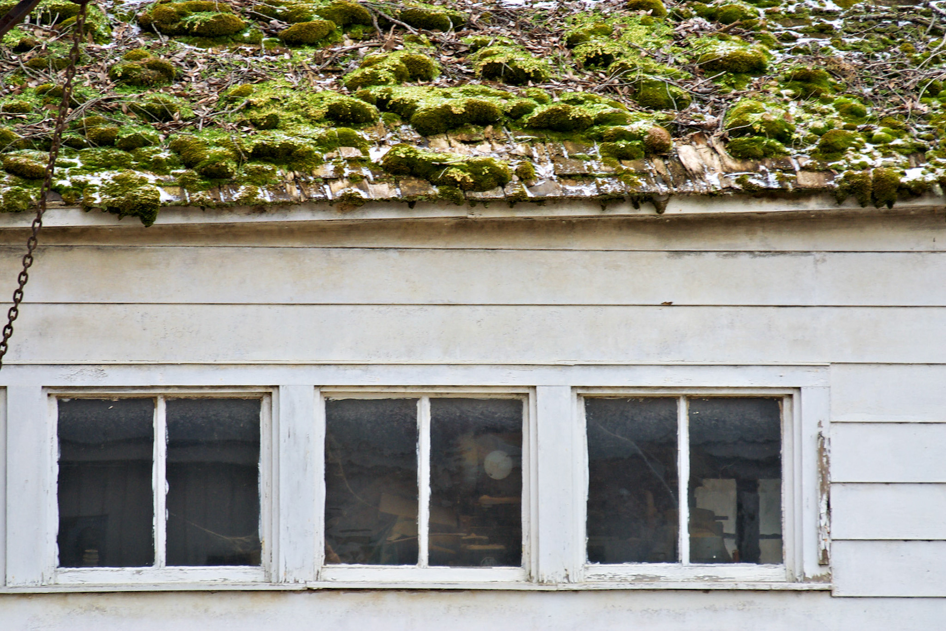 Artistic_20030305_0008_PS.dng