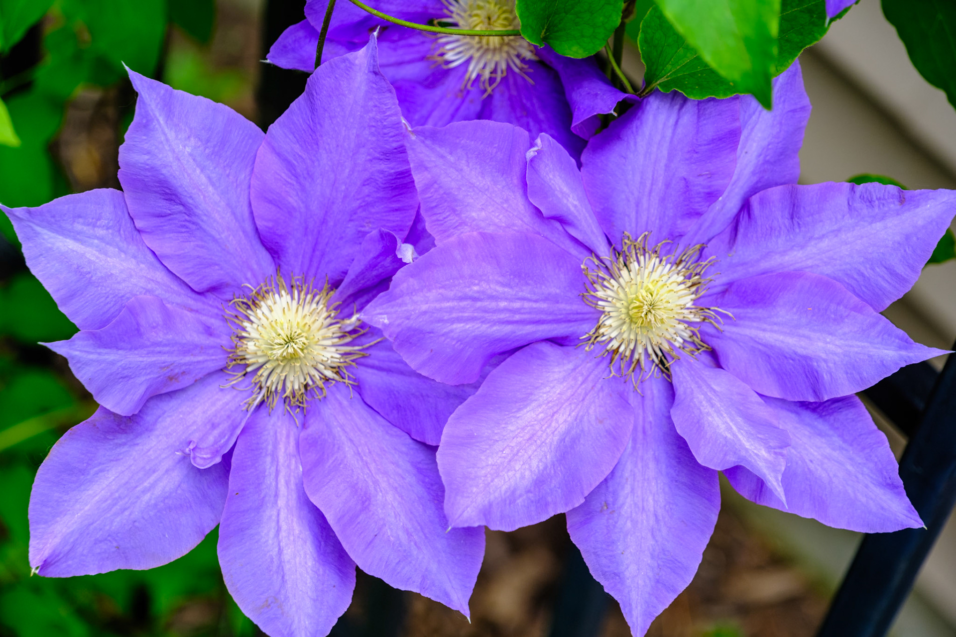 20240520__FXT0601_PS