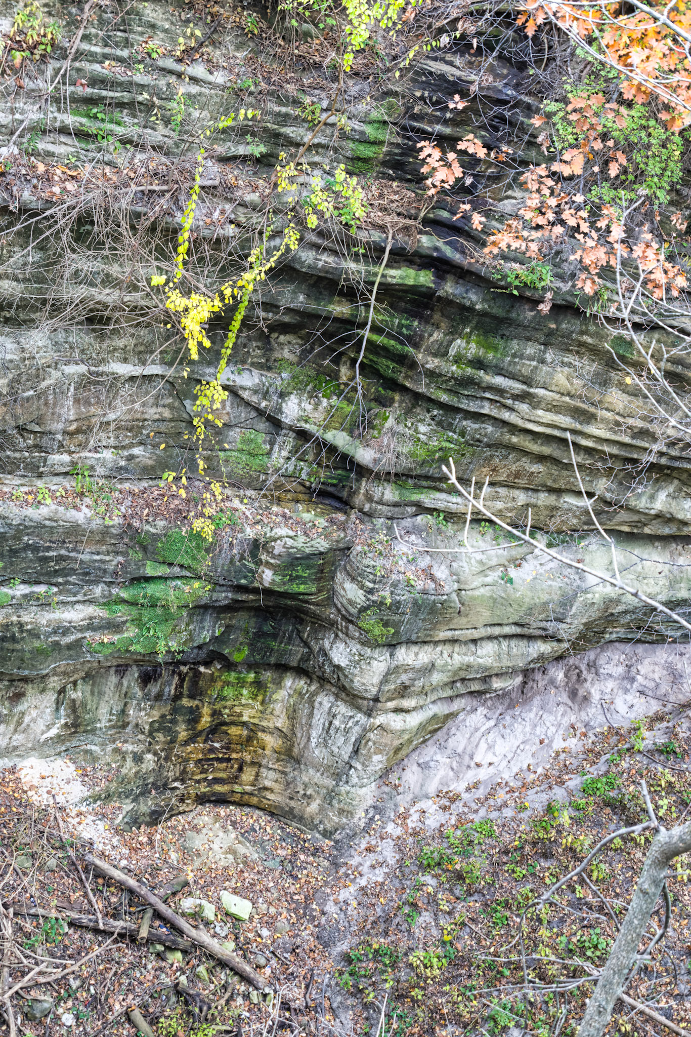 IL Starved Rock 00046