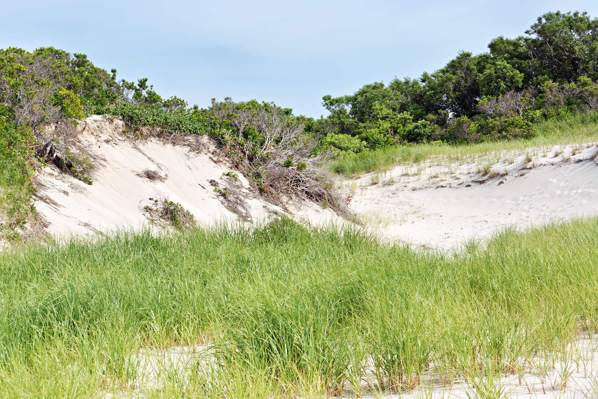 MA_CapeCod_20150717_0054_PS.dng