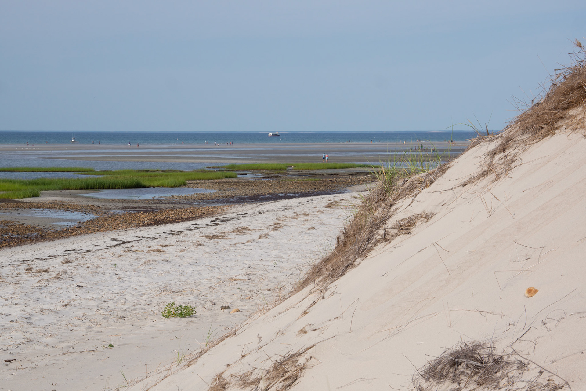 MA_CapeCod_20150717_0069ai_PS.dng