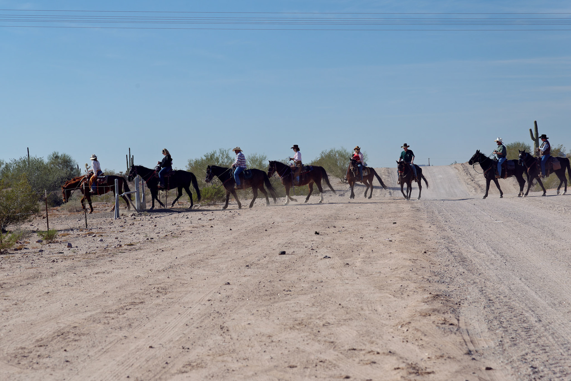 AZ_20121209_0309_PS.dng