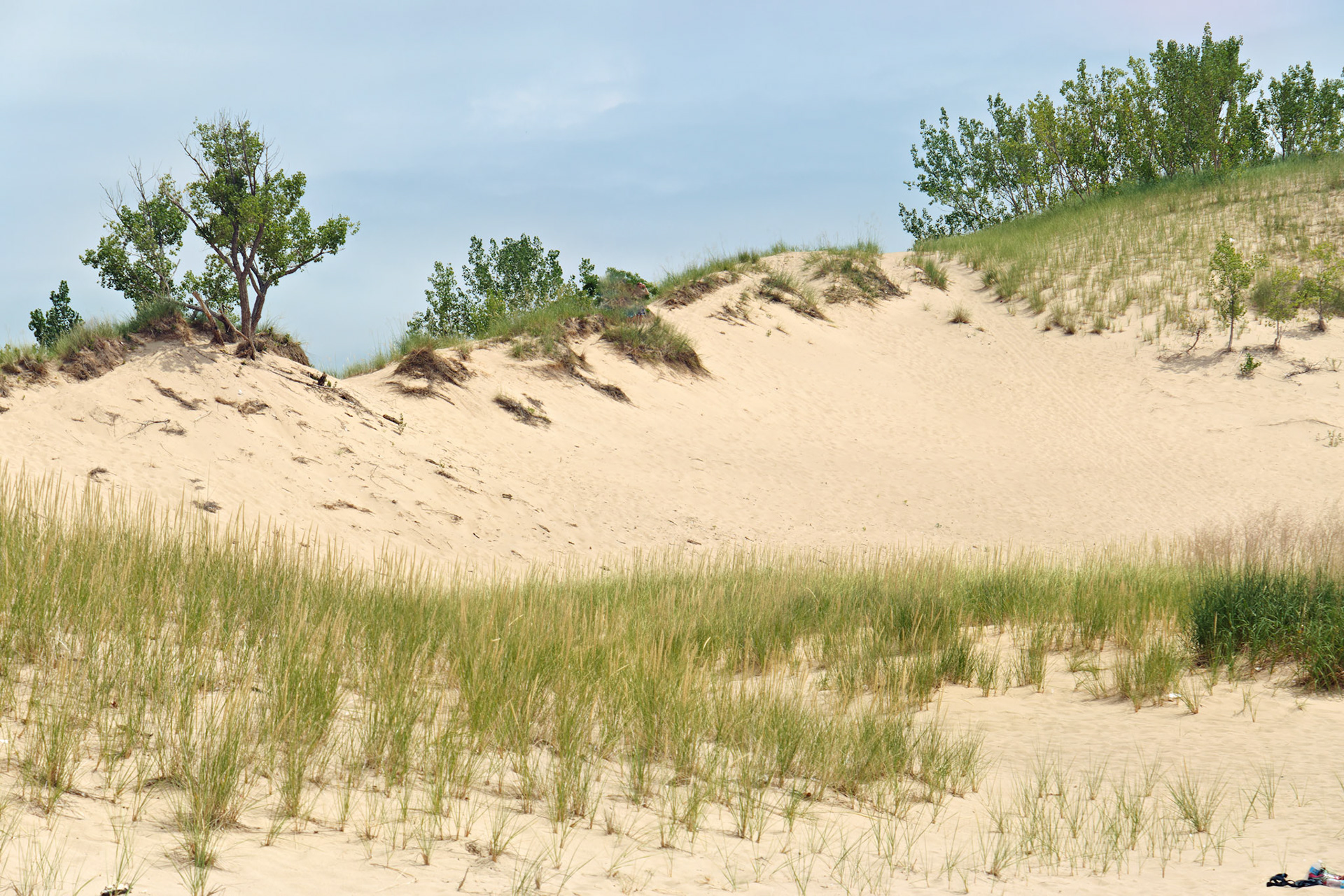 MI_New BuffaloArea_20150808_0104_PS.tif