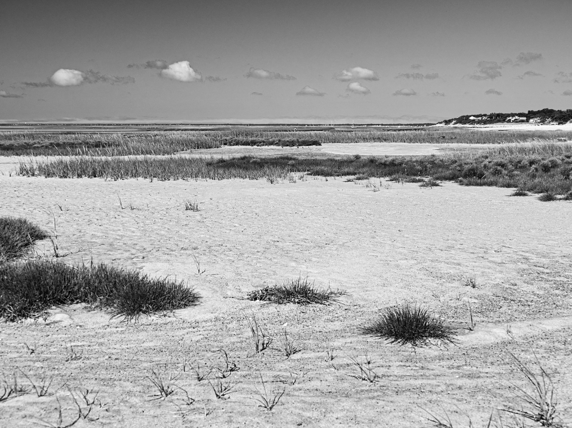 Black &amp; White 00278