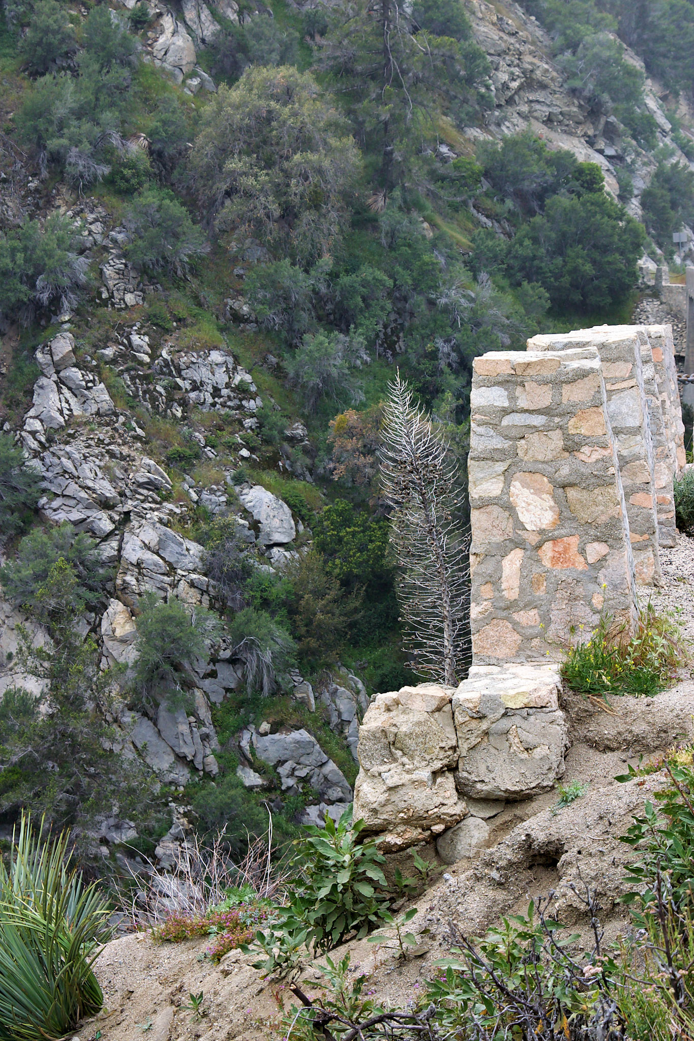 CA_LA_20030514_0037_PS.dng