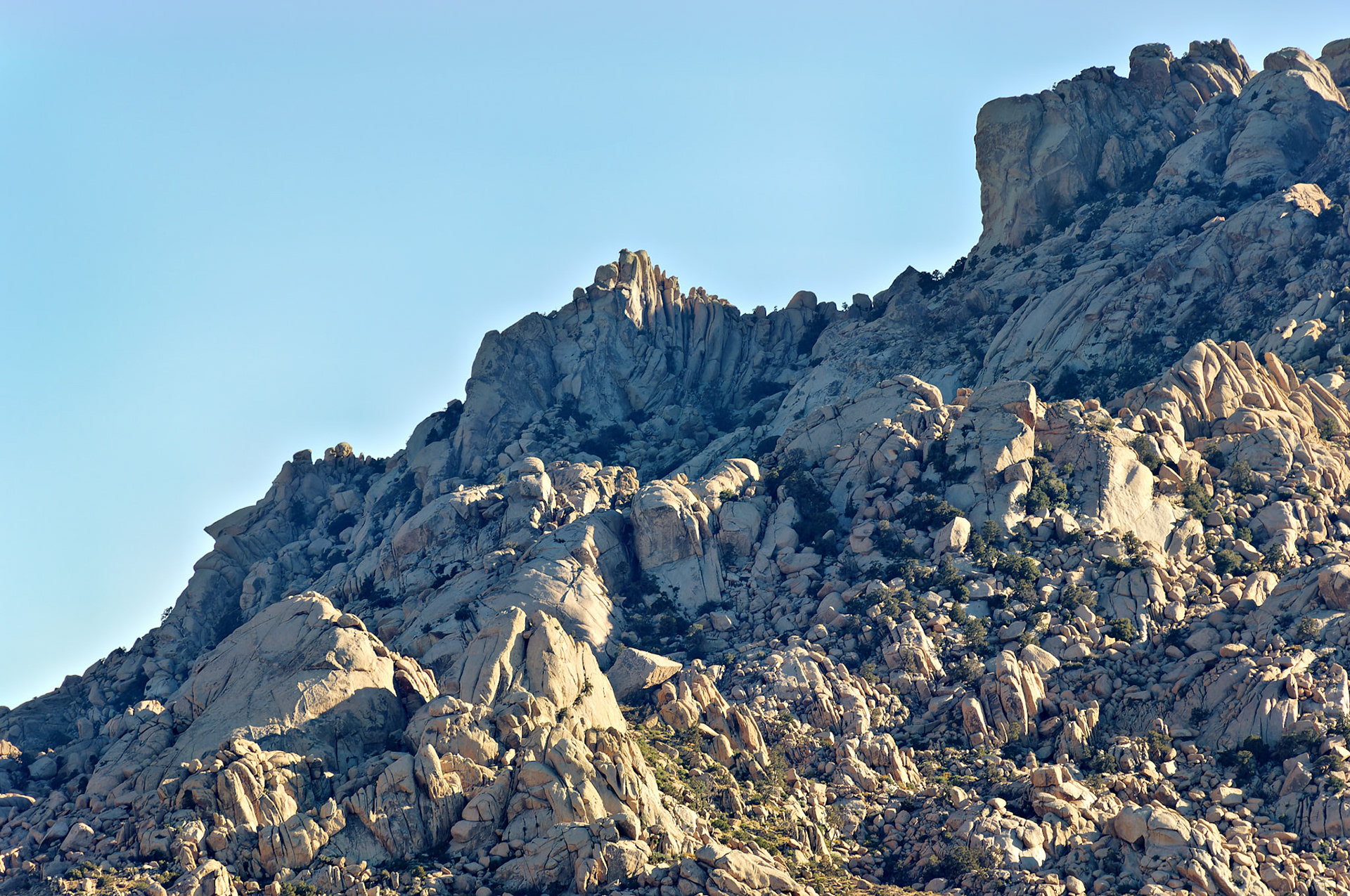 CA_20050614_0188_PS.dng