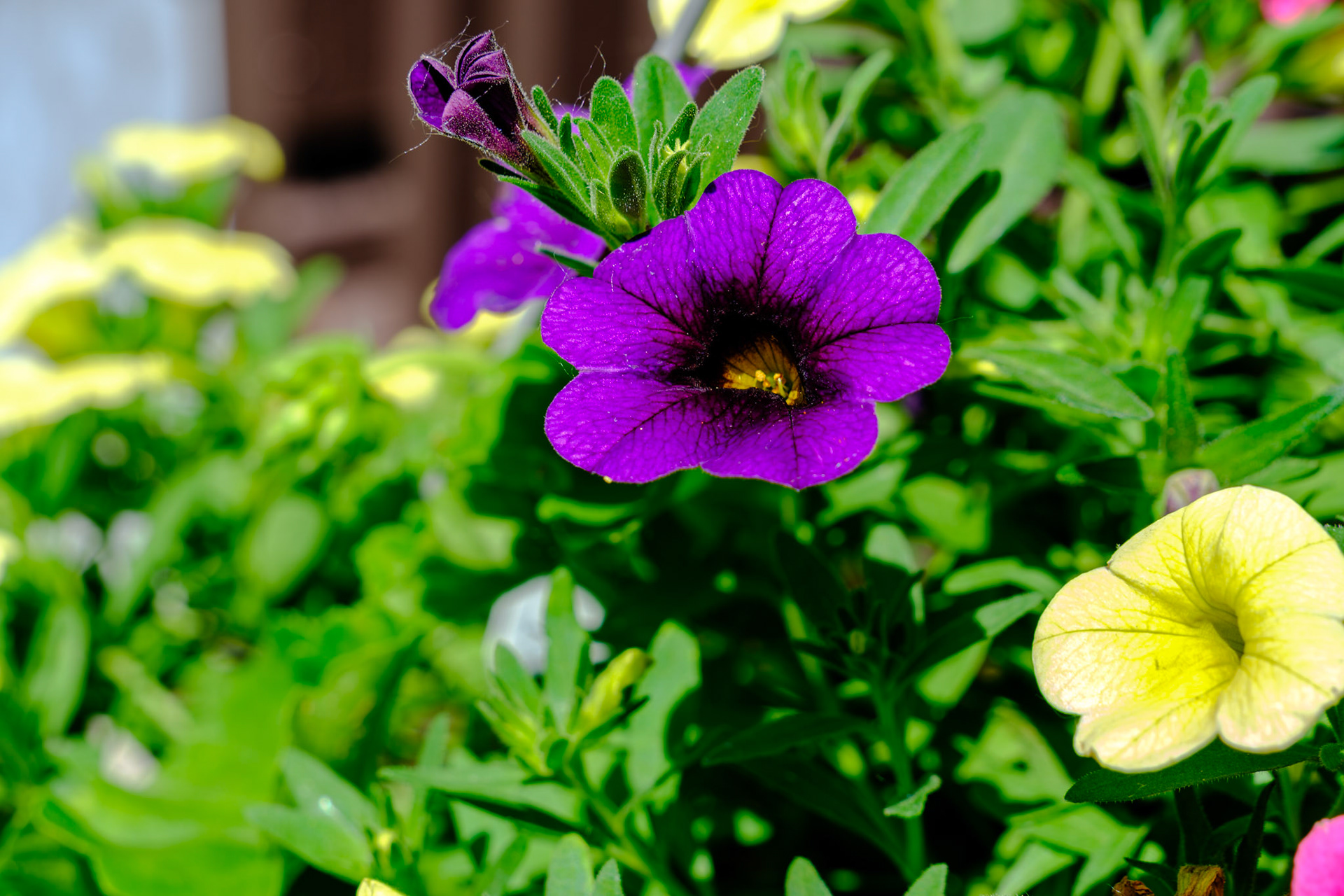 20240523__FXT0709_PS