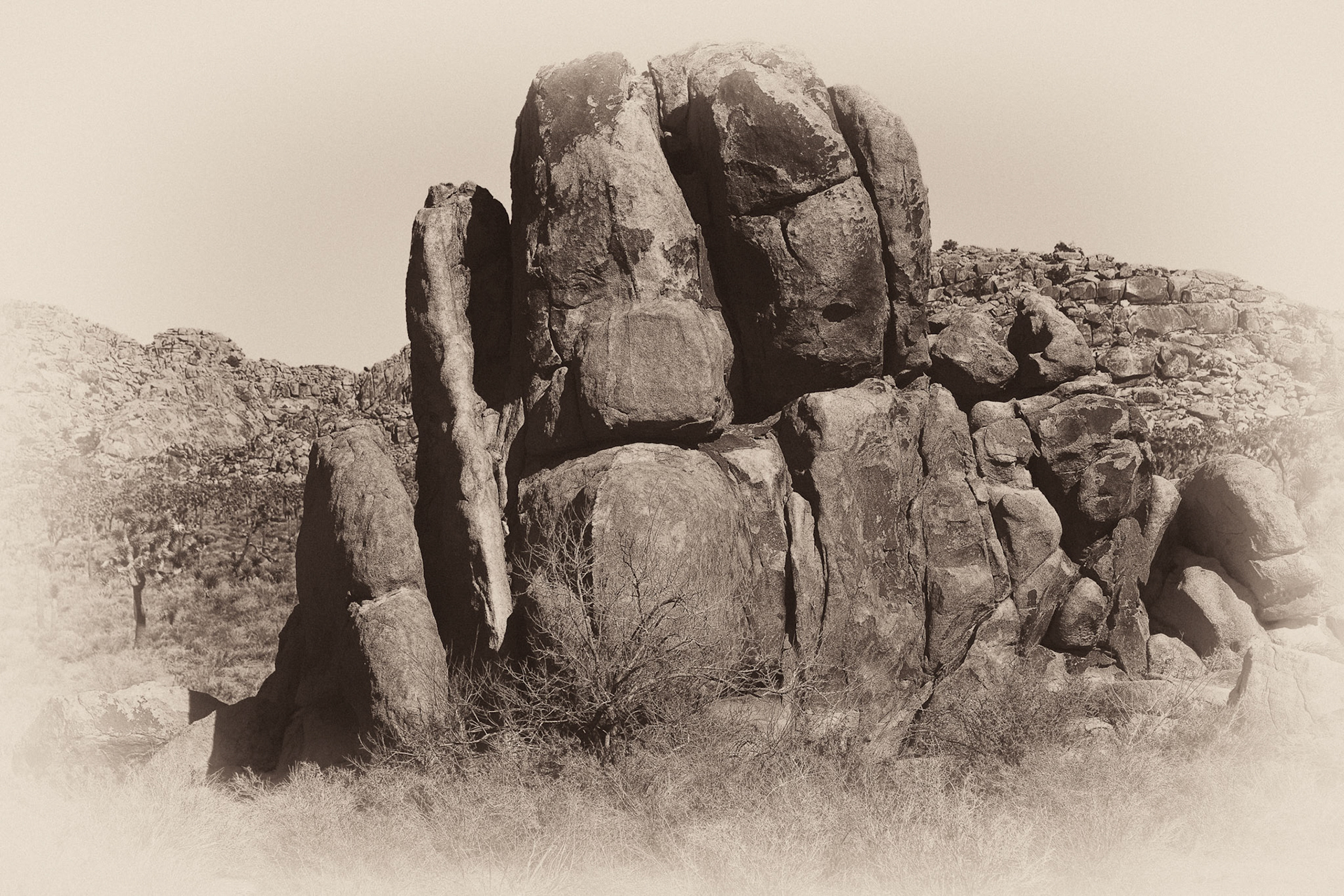 Black &amp; White 00100