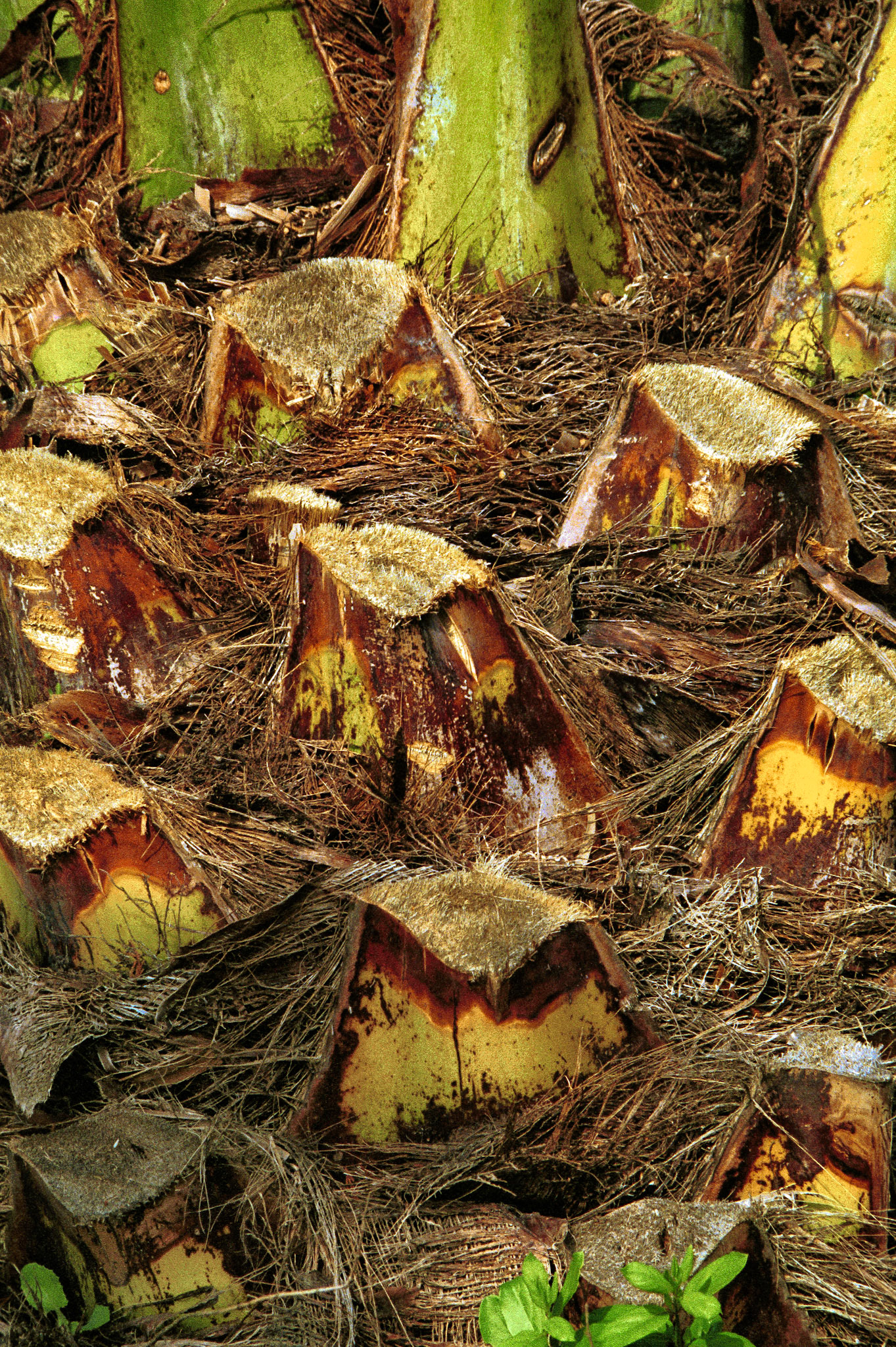 Artistic Photos 00089