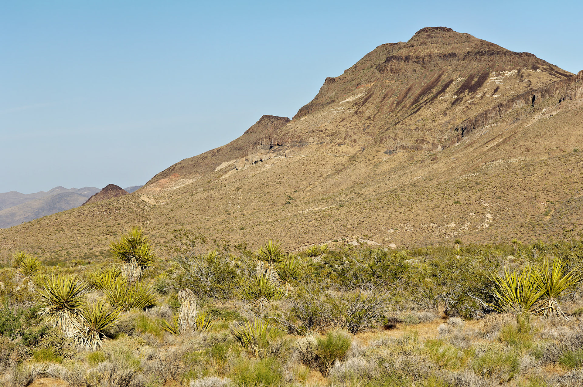 CA_20050614_0202_PS.dng