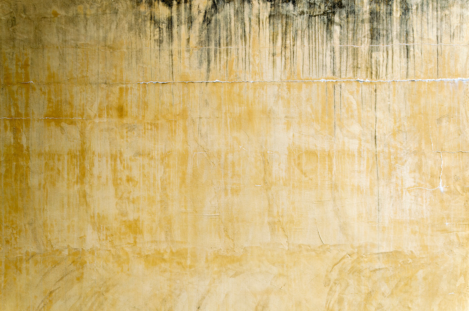 PA_GroundsForSculpture_20080814_0133_PS.dng