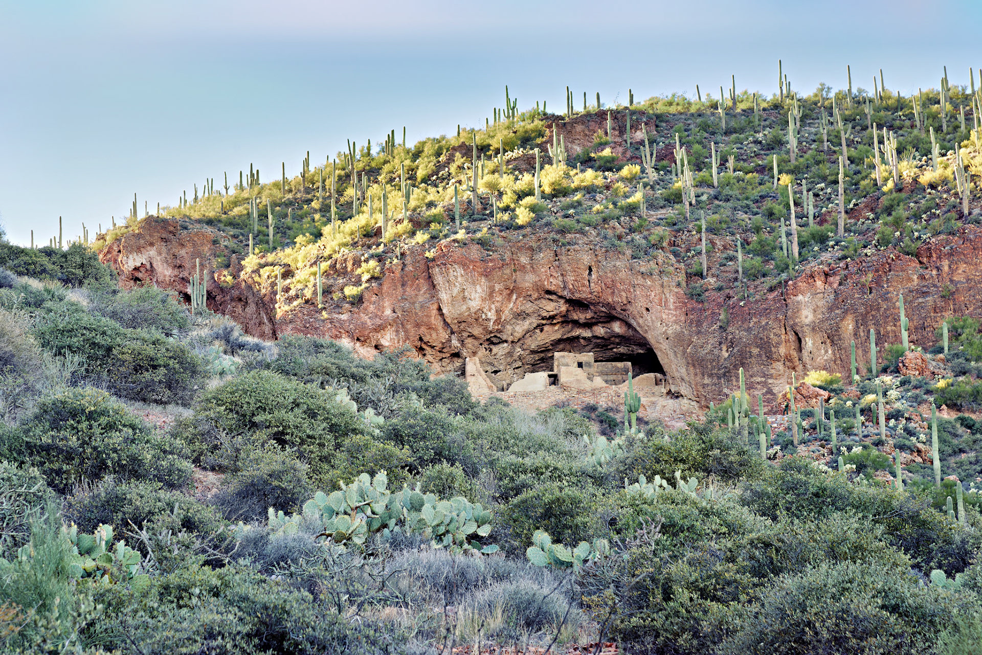 AZ_20121210_0459_PS.dng