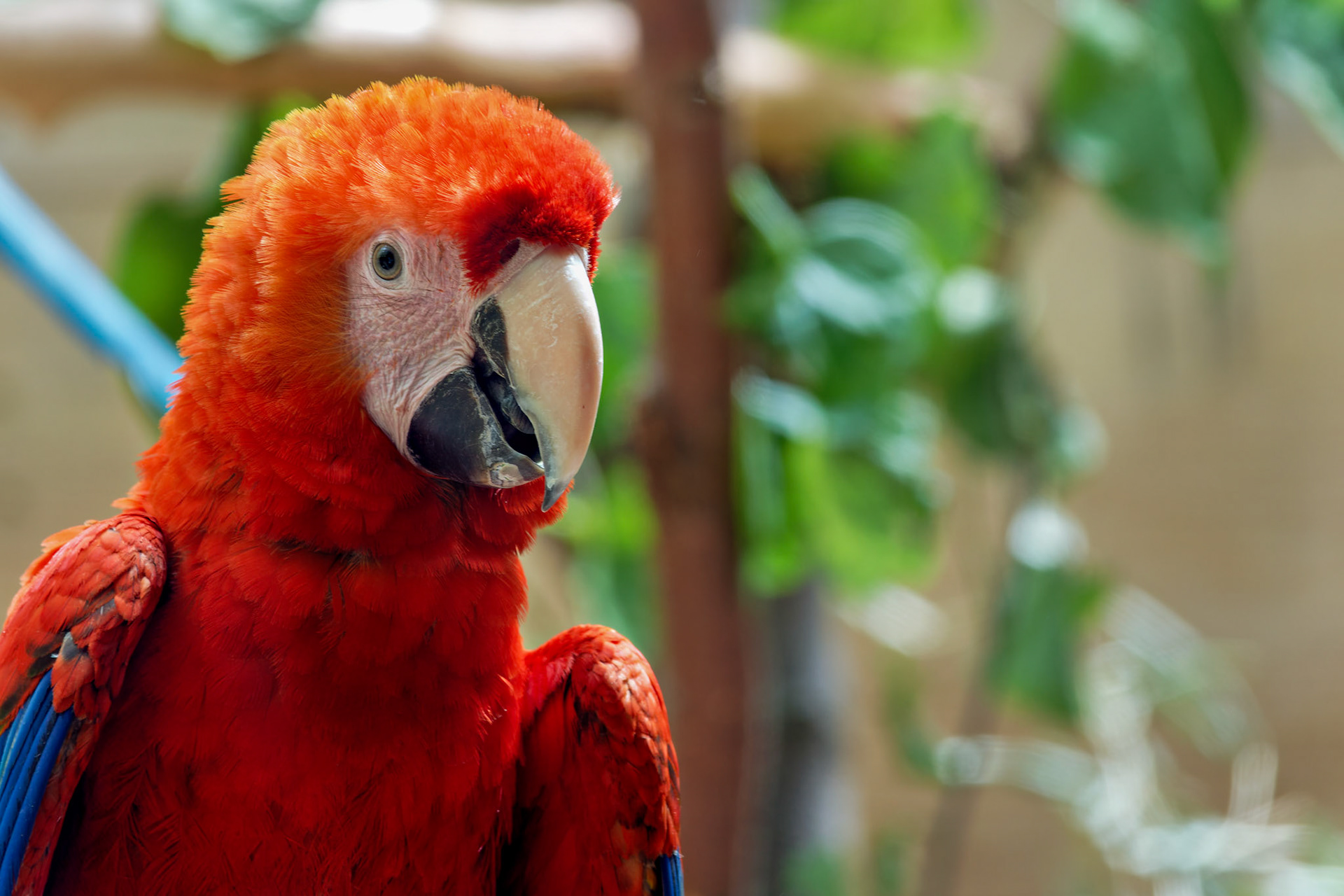 IN_Indianapolis Zoo_20170608_0226_PS.tif