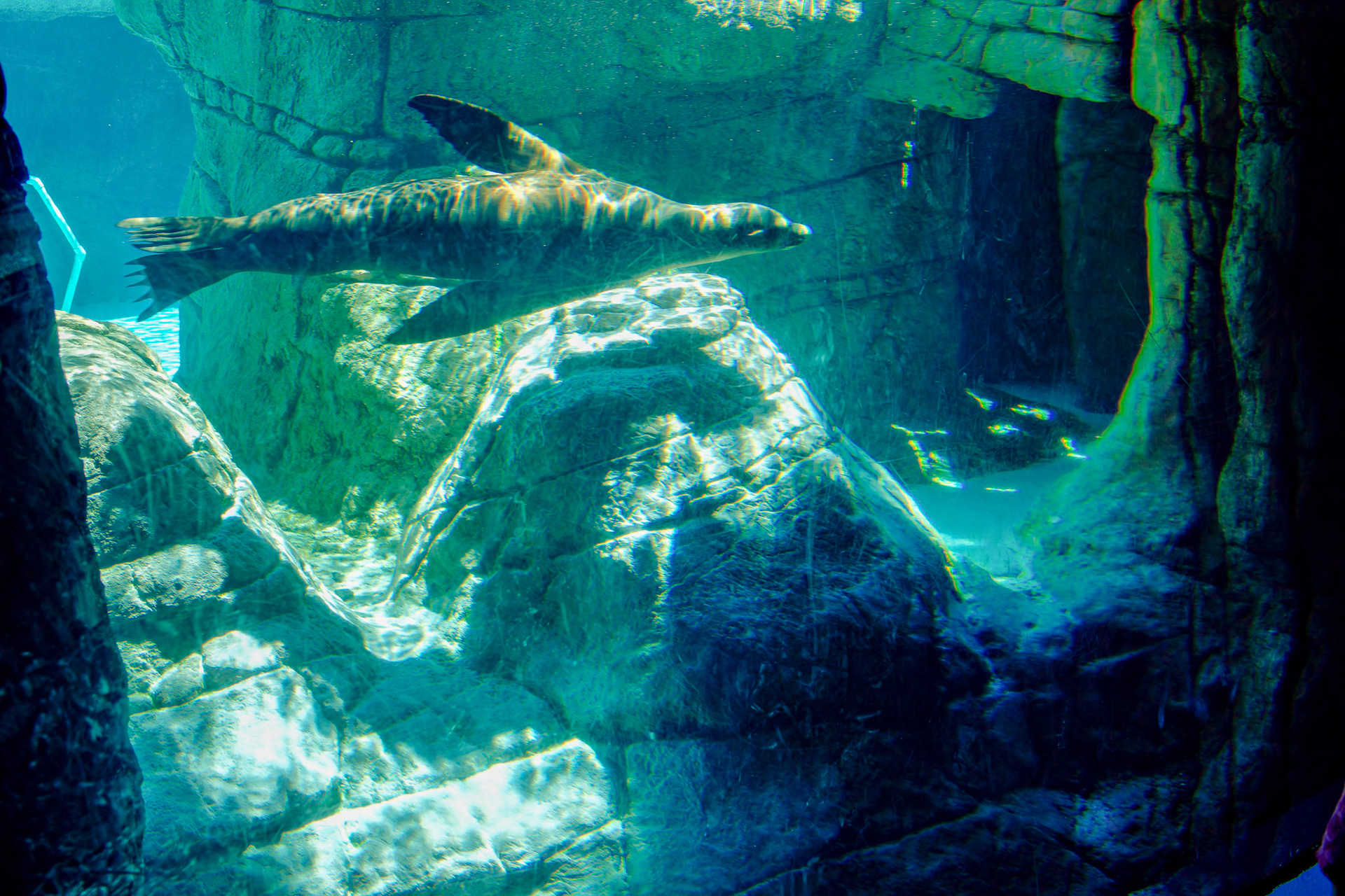 IN_Indianapolis Zoo_20170608_0209_PS.tif