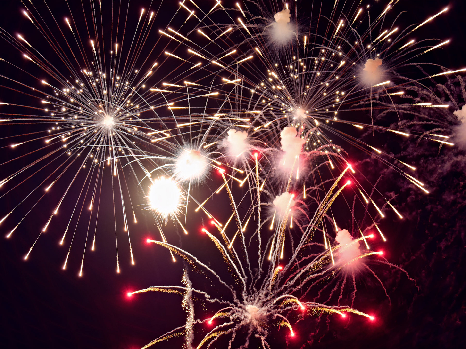 FL_Disney_20180426_0070_PS.dng