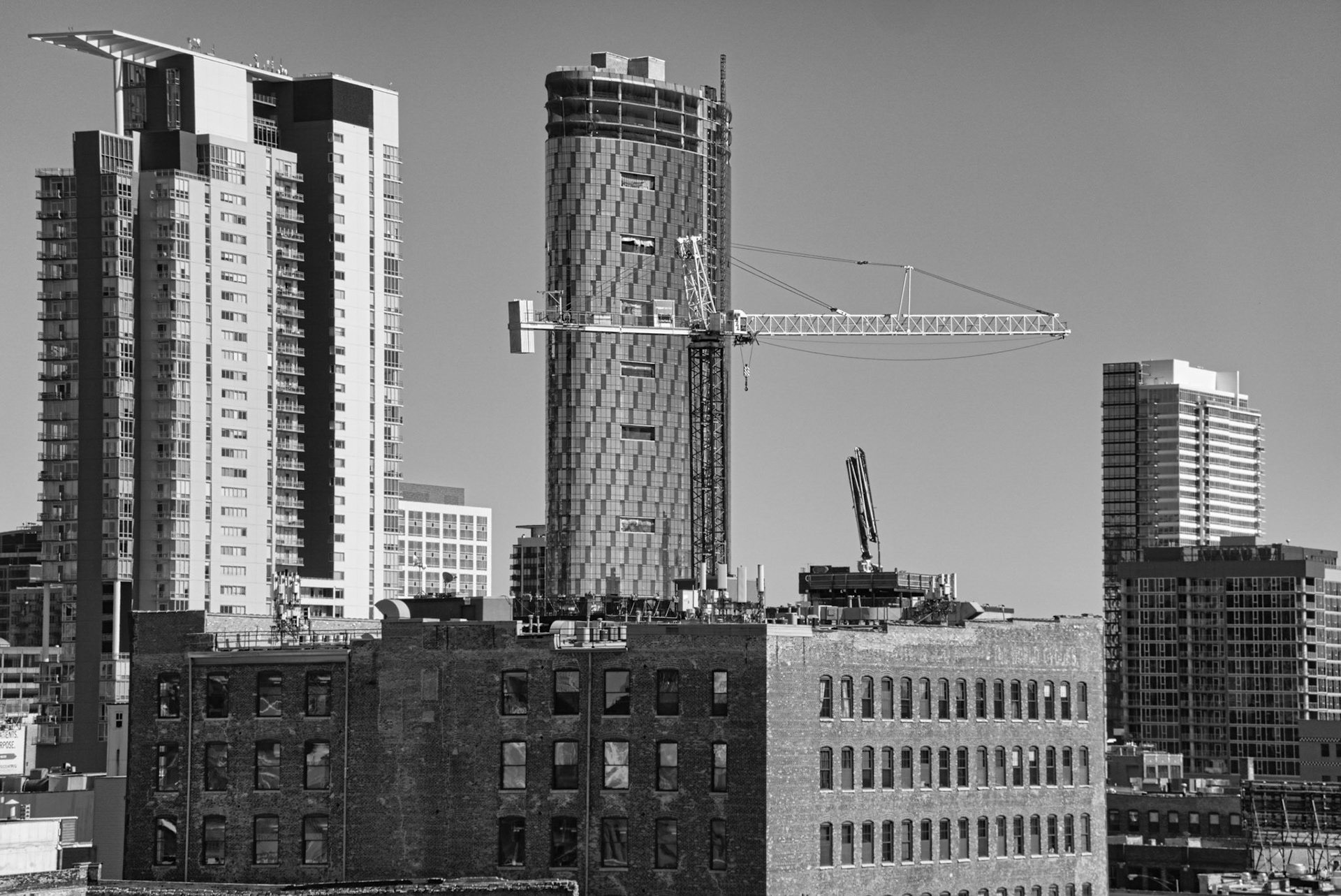 Black &amp; White 00273